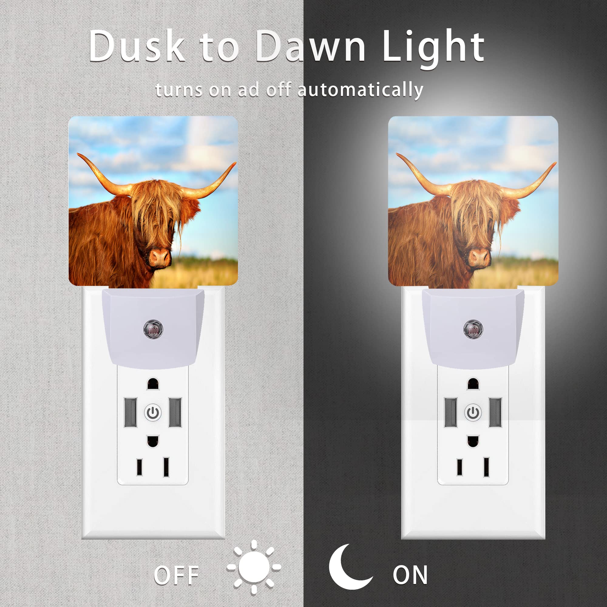 Oeaskly Highland Cow Night Light,Cows Plug-In Night Lights With Dusk-To-Dawn Sensor For Bedroom, Bathroom And Living Room 0.5W S