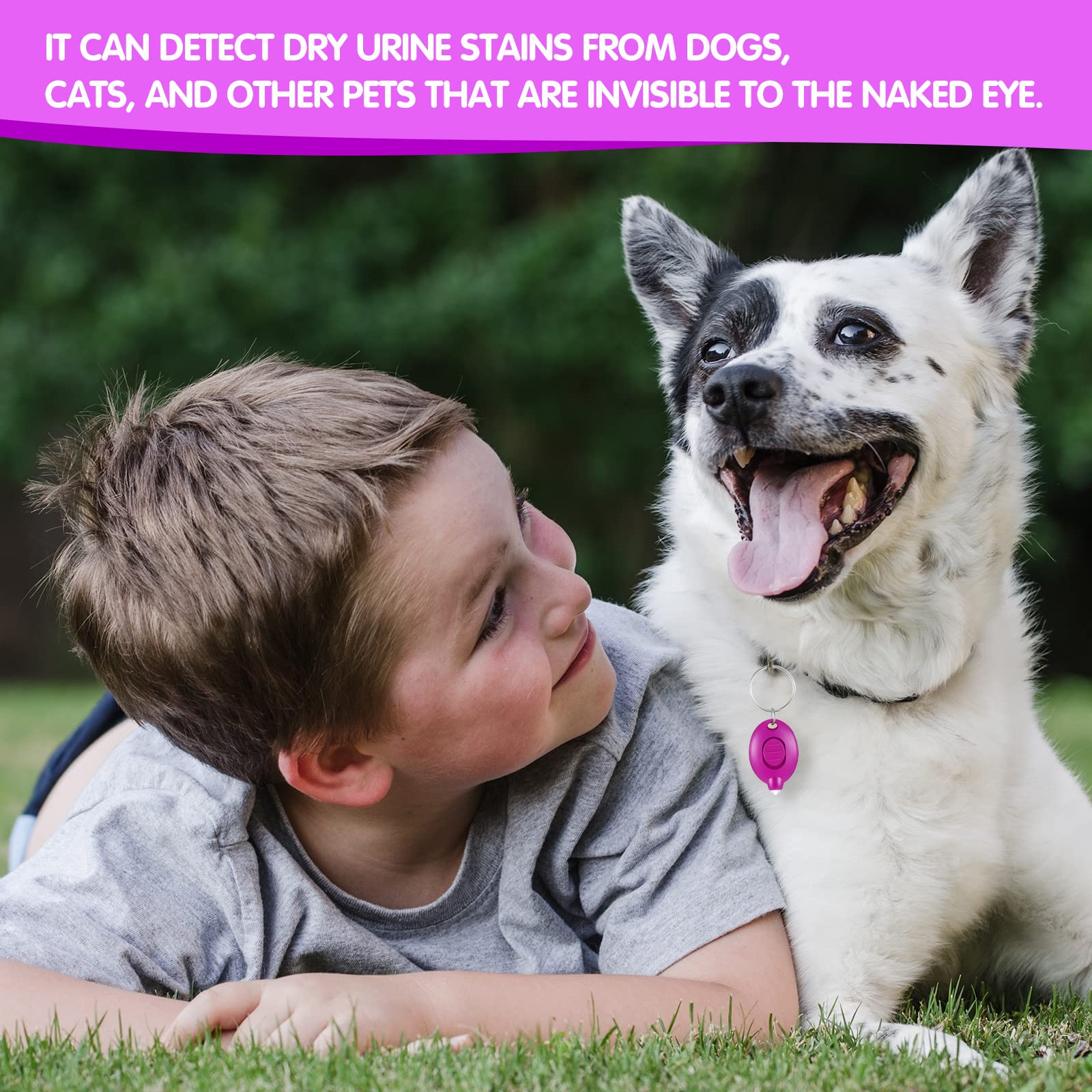 50 Pcs Mini Uv Led Keychain Flashlight 395Nm Uv Light Black Light Keychain Flashlight Portable Uv Keychain Flashlight For Pet Ur