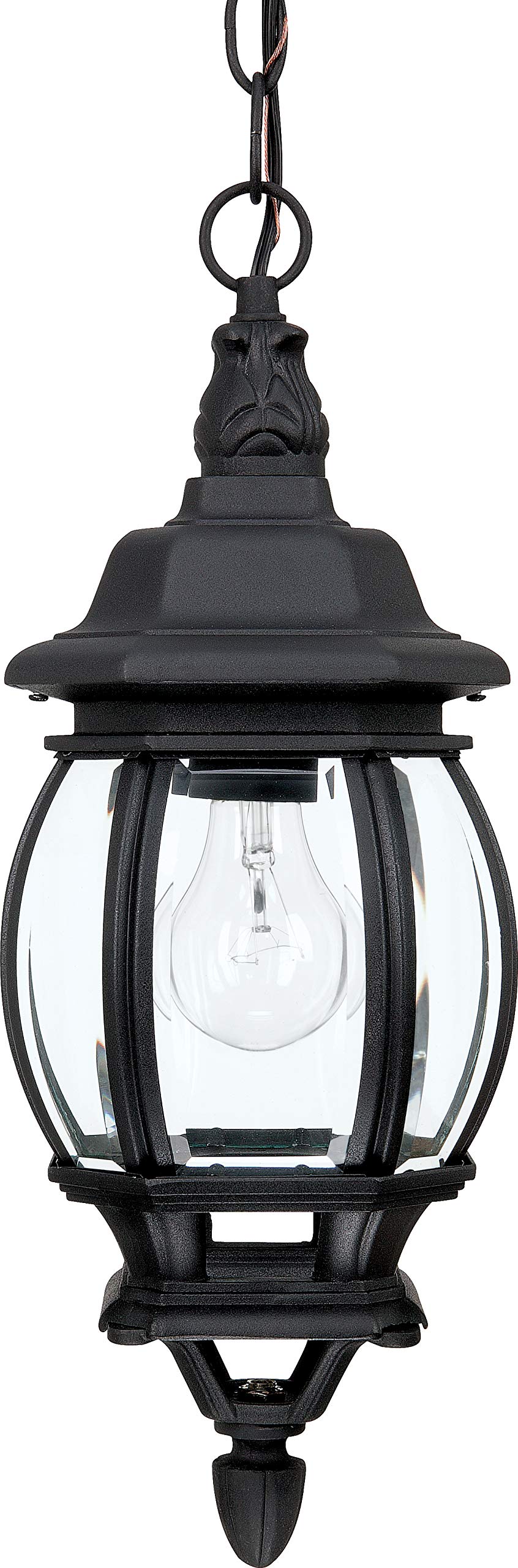 Capital Lighting 9868BK French Country Clear Glass Outdoor Pendant, 1-Light 100 Watt, 17 H x 7 W, Black