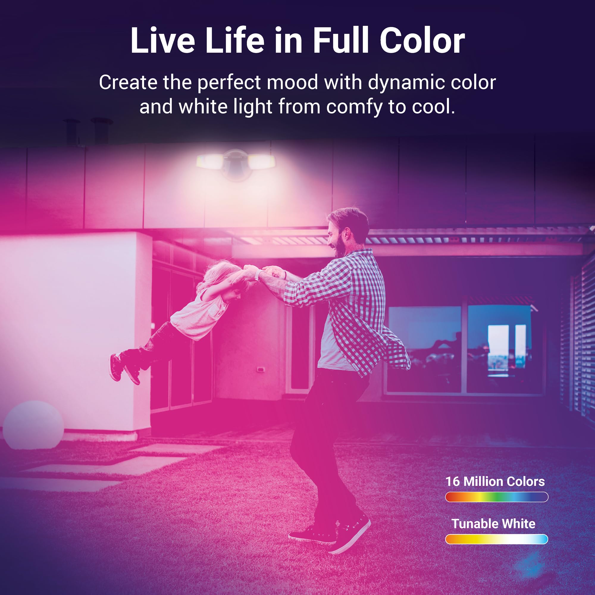 Halo Esf Wiz Motion Smart Wifi Color Changing Led Security Floodlight For Outdoors - Black - Esf2Argbwmbl-Wiz