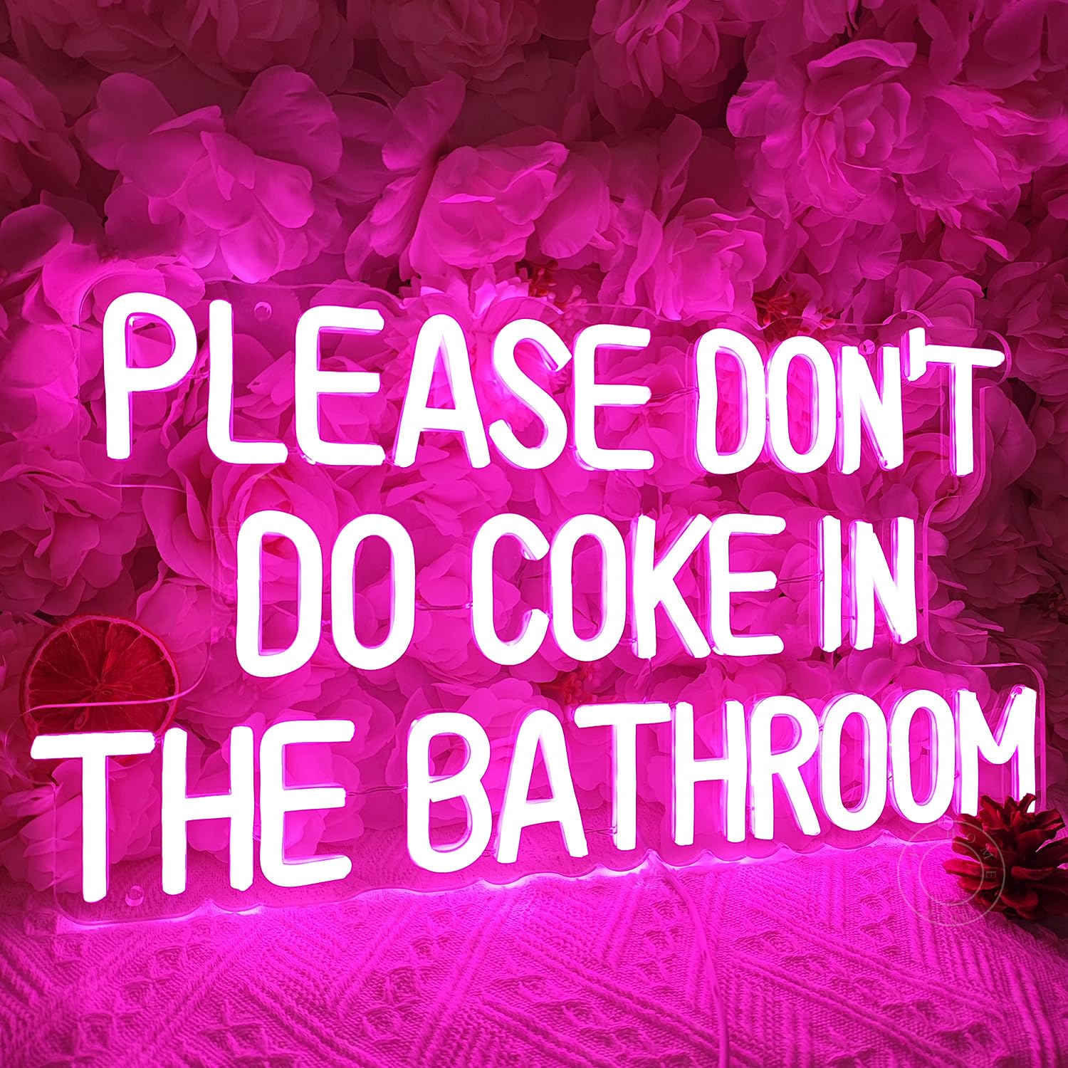 SYLHOME Neon Light Sign for Game Room, Bedroom, Bar, USB, 16.9in x 9.2in, Pink Please Dont Do Coke, Acrylic and Glass Decor