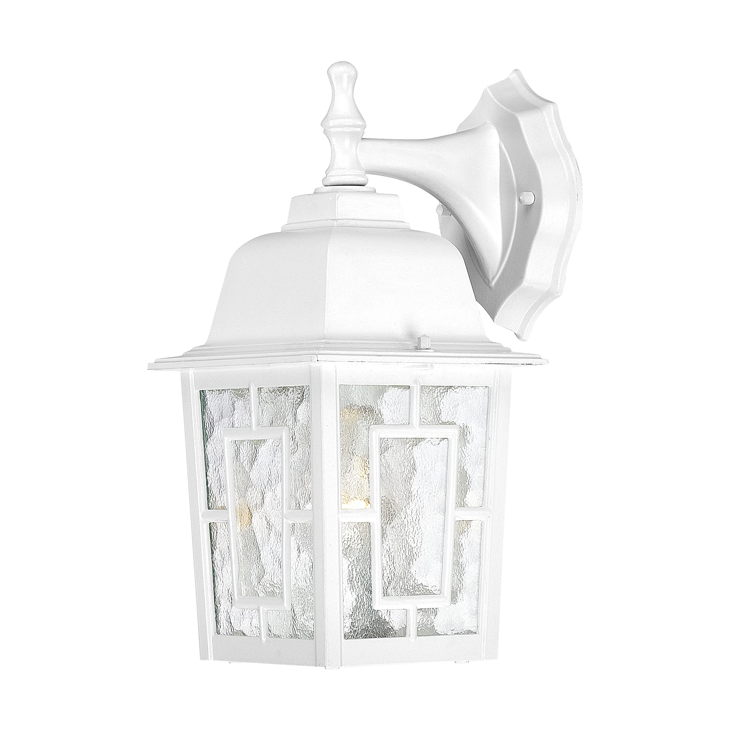 Nuvo Lighting 60/4921 Banyon One Light Wall Lantern/Arm Down 100 Watt A19 Max. Clear Water Glass White Outdoor Fixture