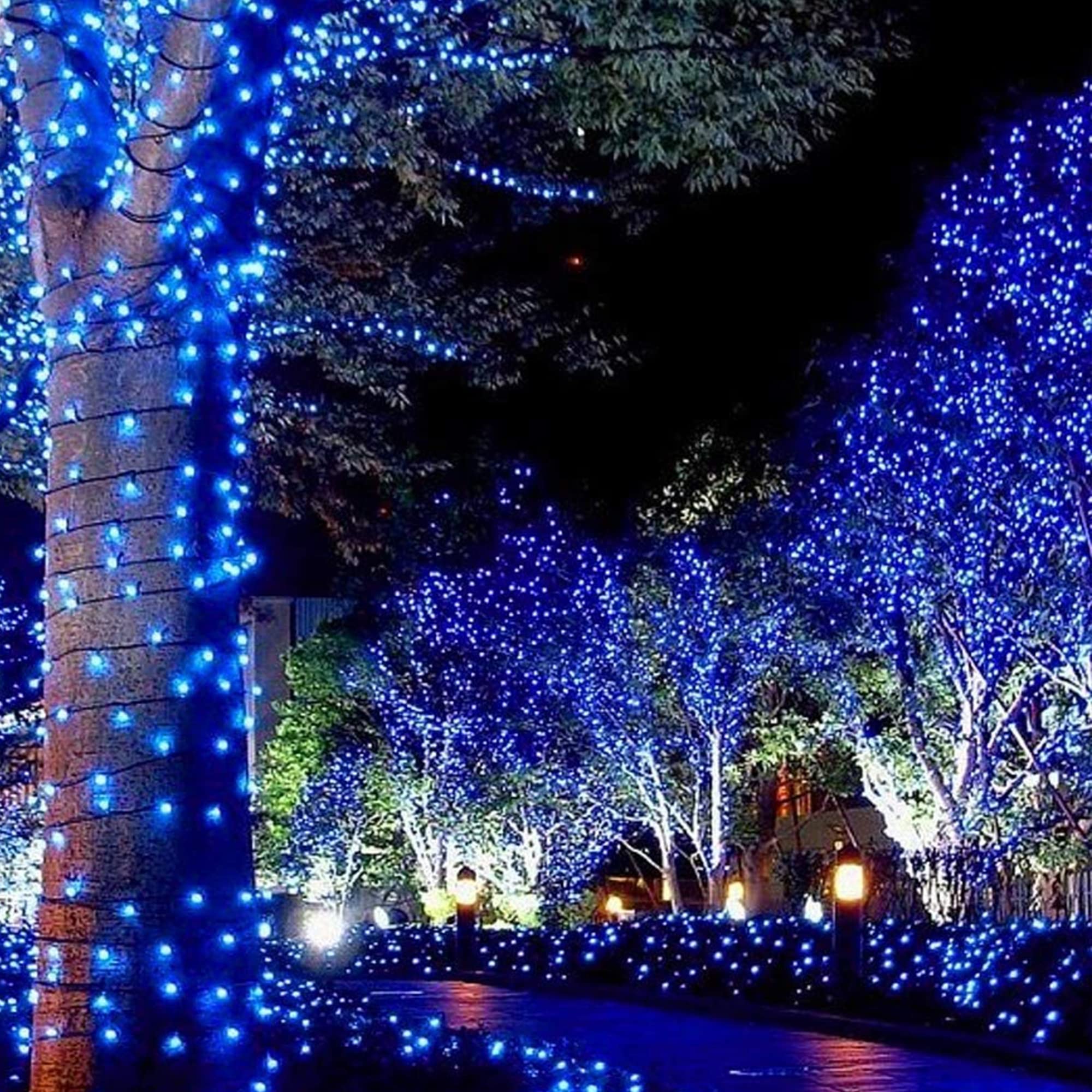 Twinkle Star Christmas Lights, 150-count Incandescent Mini String Lights, 120V, Blue, Model ZF-150-3/SB, Indoor Outdoor Use