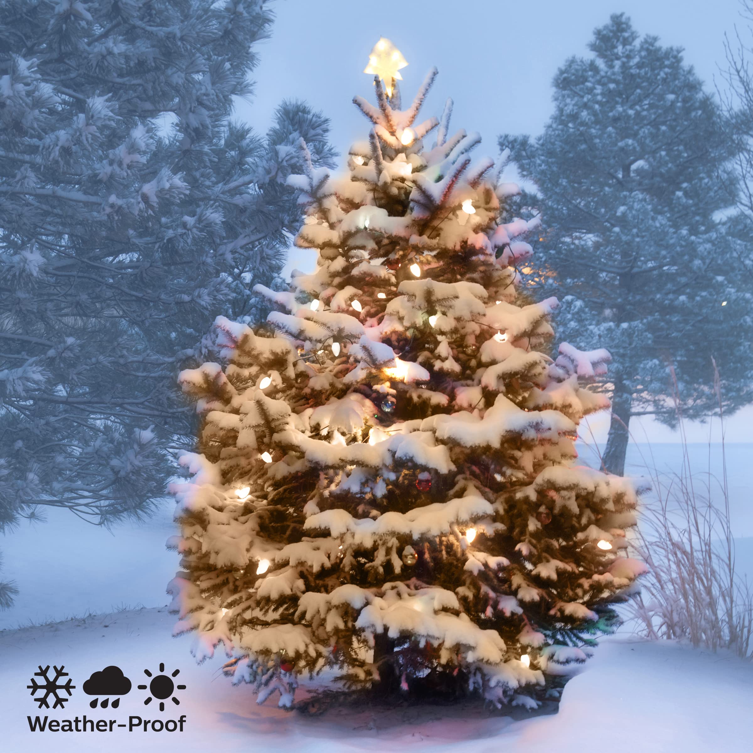 Philips C6 Christmas Lights - 250 LED Warm White, 64.33 Length, Indoor/Outdoor Use, Model 638017-278, Green Wire