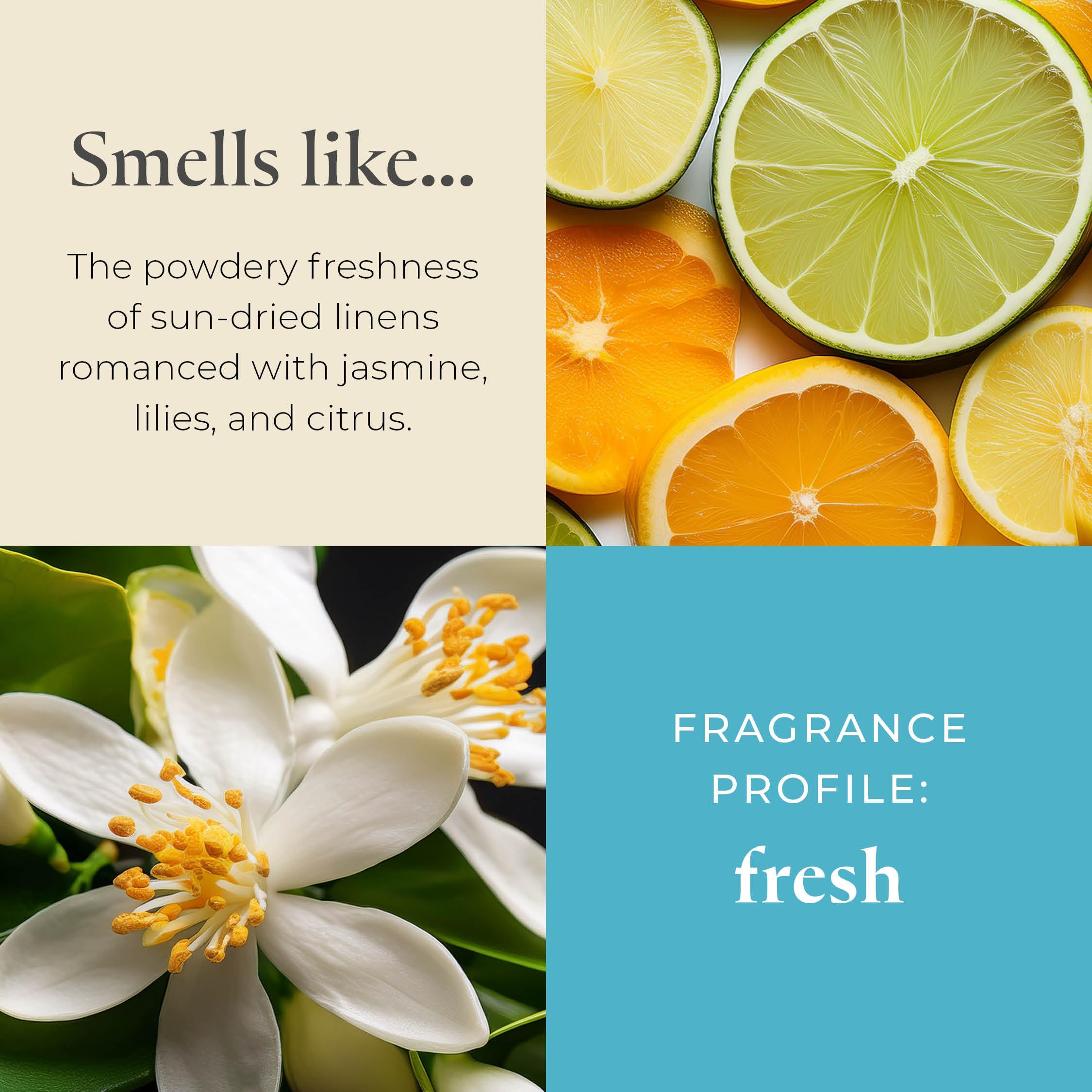 Partylite Tea Lights Candles  Crisp Linens With Jasmine And Lily Scent  Gift Set Of 12  Aromatherapy With Up To 4 To 6 Hours Burn Time  Ideal For Home Decor  Holiday Gifting & Celebration