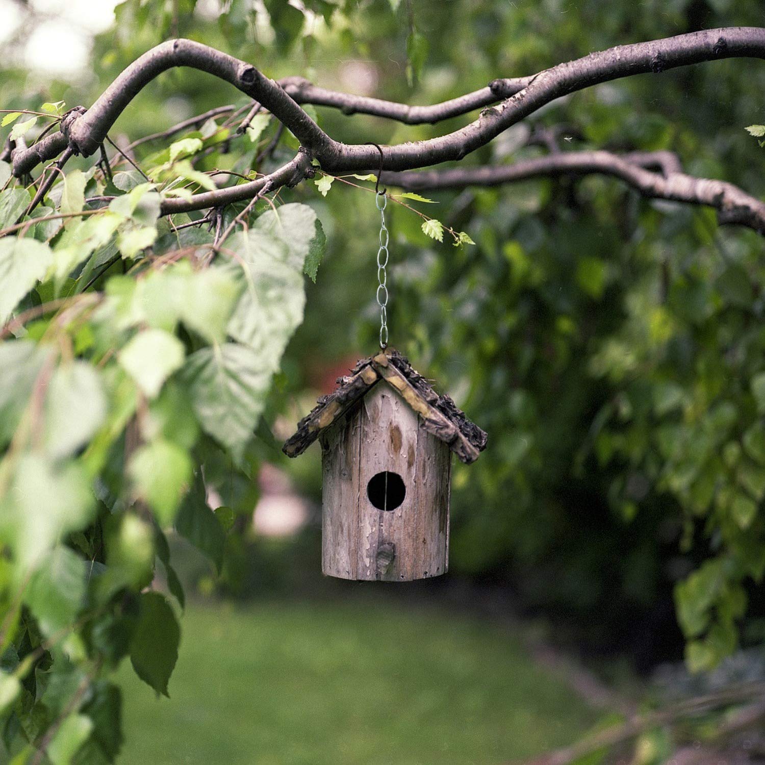 Blue Donuts Chrome Chain Extension, 36 Inches Long, Durable Metal, Strong Hold