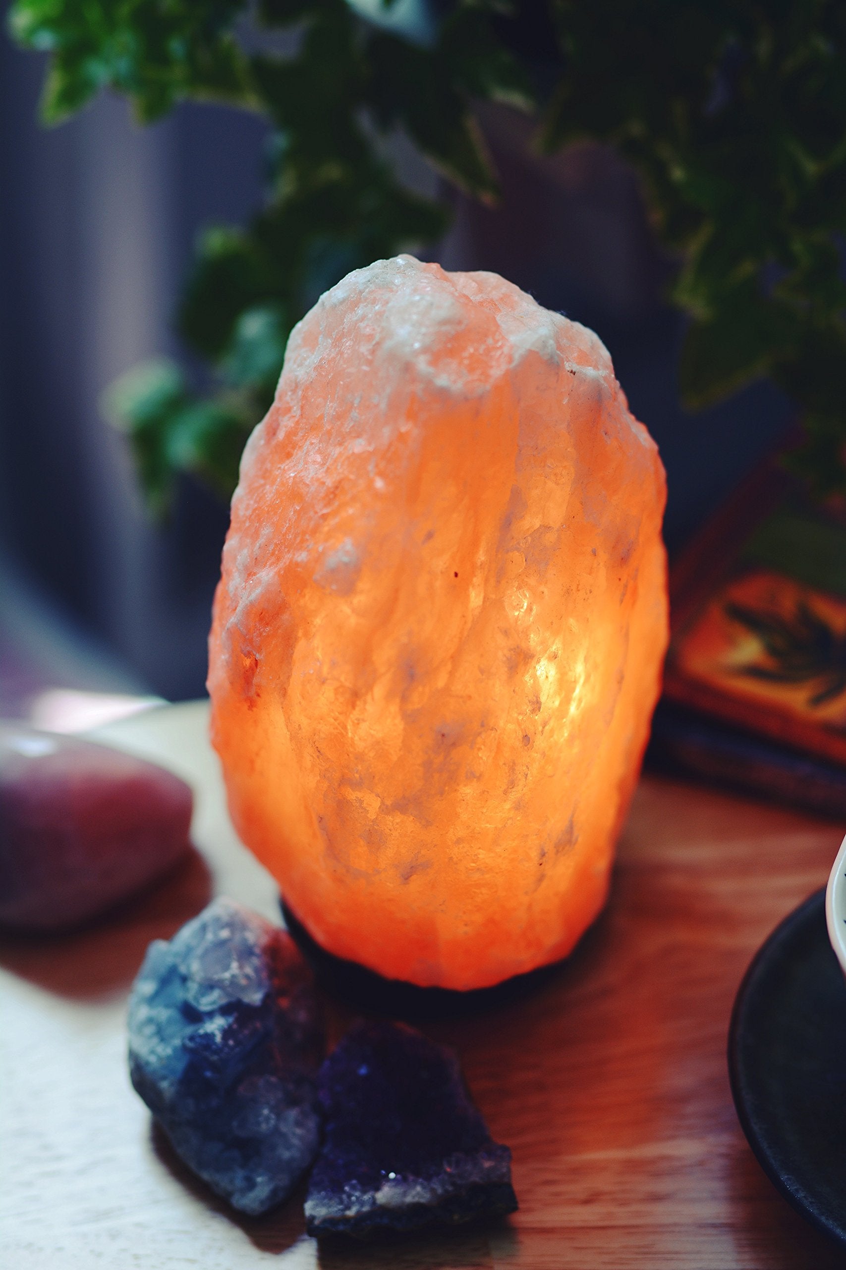 Evolution Salt Himalayan Natural Cystal Salt Lamp