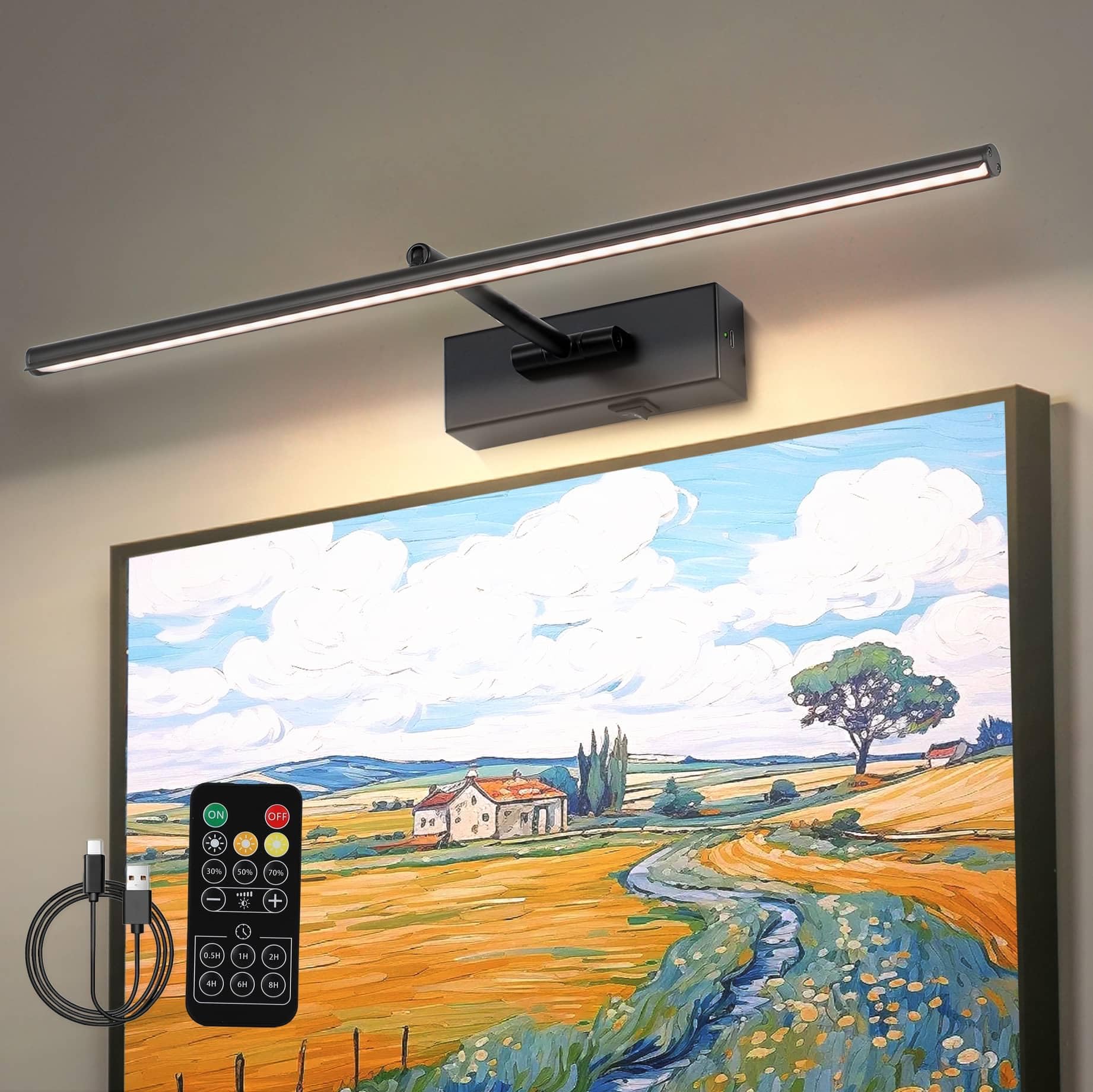 iYoee Picture Light for Wall, 5000mAh Rechargeable Wireless Remote,Black 24in Dimmable Timer LED Art Display Light with 3 Color 