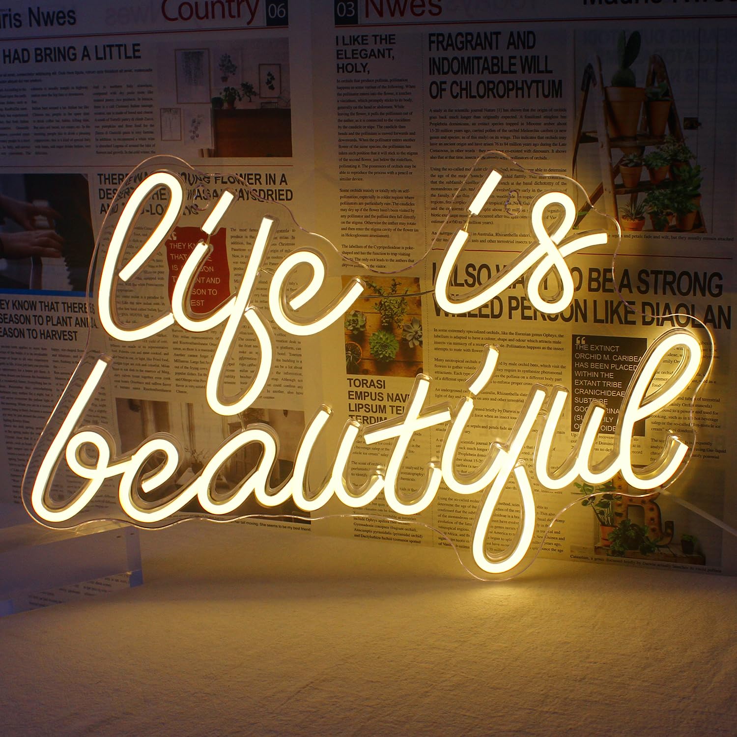 Horseneon Neon Sign - Life is Beautiful Wall Decor, USB Powered, Acrylic, Warm White