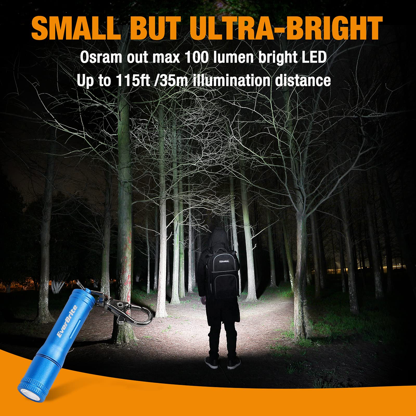 Everbrite Keychain Led Flashlight Mini Bright Key Ring Portable Pocket Torch For Edc, Party Favors, Night Reading, Camping, Powe