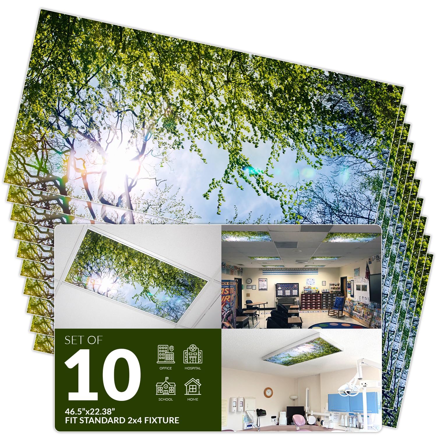 OCTO LIGHTS Fluorescent Light Cover - Backlit Film Insert 2x4 (22.38inx46.5in) - Evergreen Ash Tree - Pack of 10