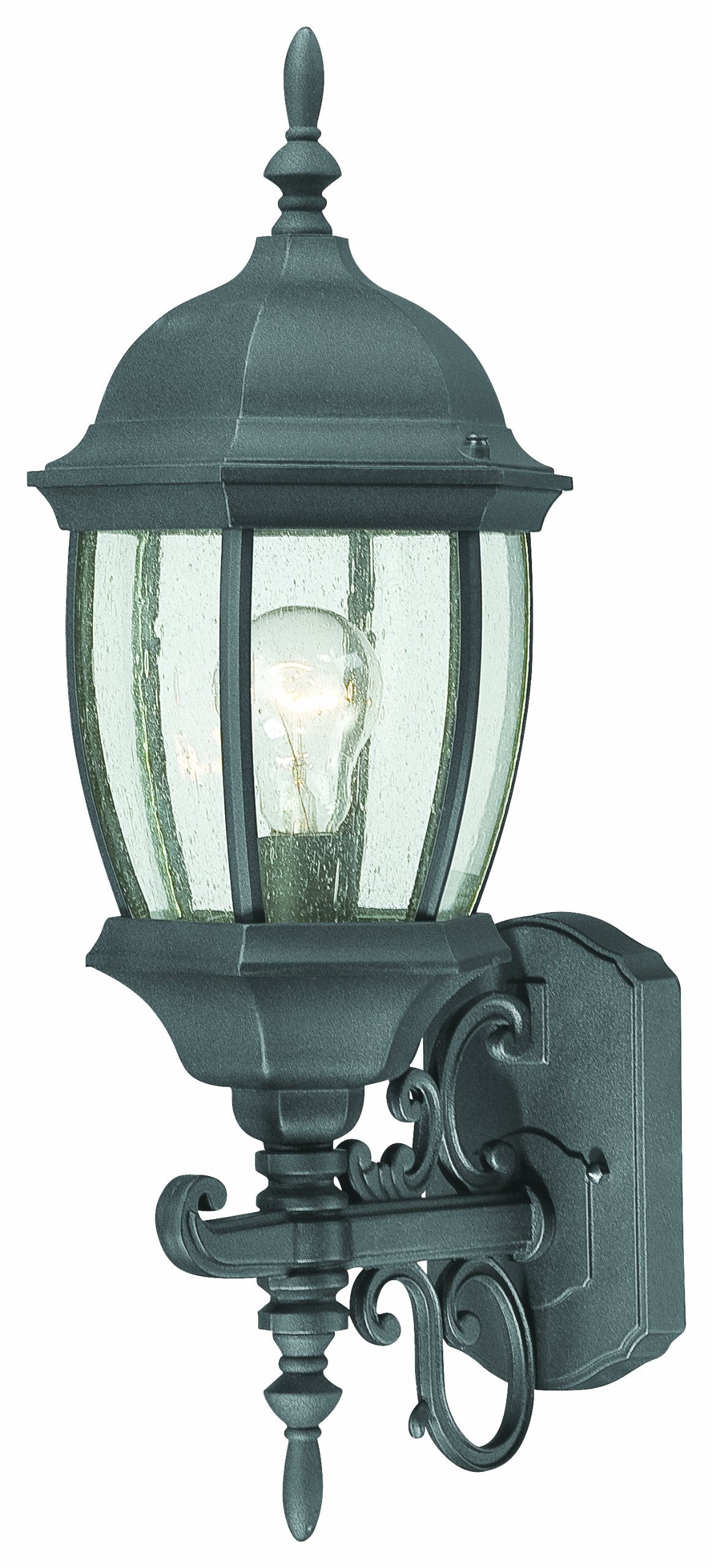 Thomas Lighting Covington Black Outdoor Wall Lantern, 21.5&quot; Aluminum Fixture