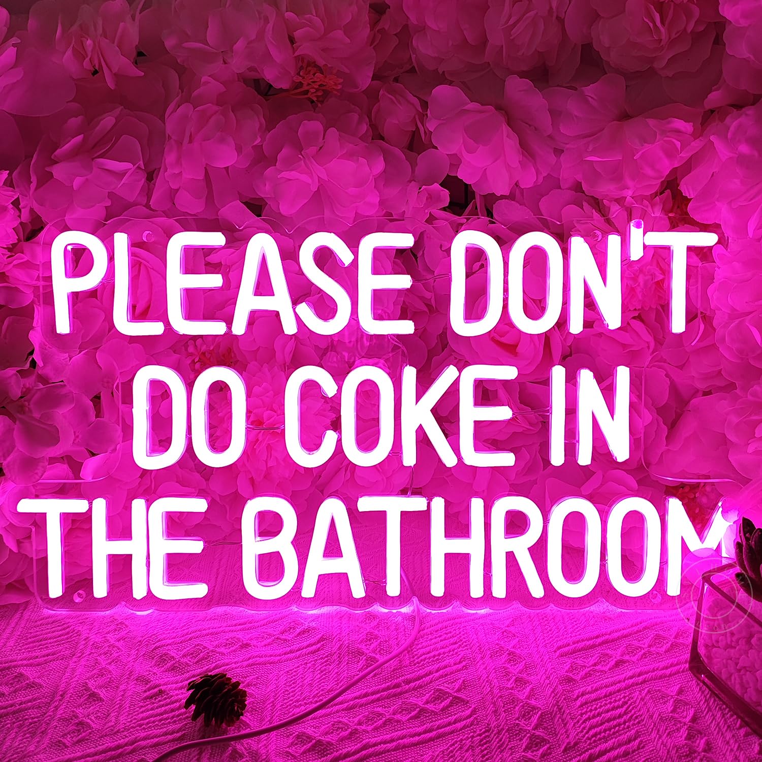 SYLHOME Neon Light Sign for Game Room, Bedroom, Bar, USB, 16.9in x 9.2in, Pink Please Dont Do Coke, Acrylic and Glass Decor