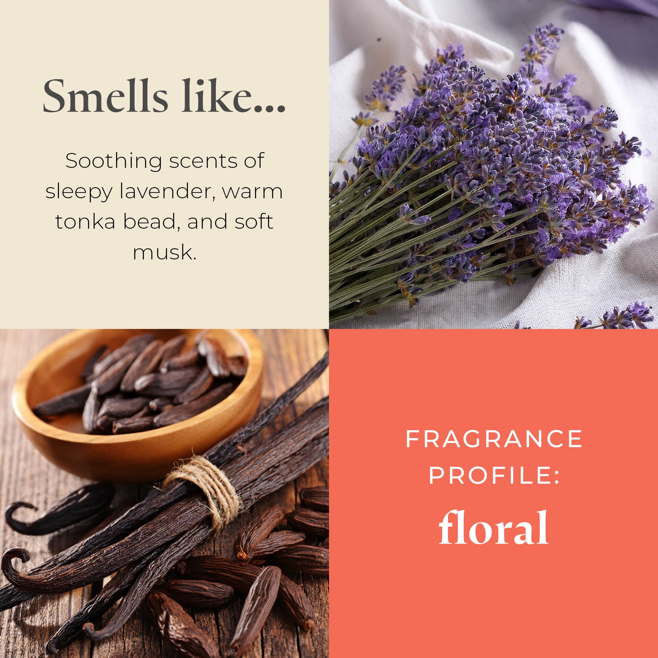 Partylite Tea Lights Candles  Lavender And Tonka Bean With Soft Musk Scent  Gift Set Of 12  Aromatherapy With Up To 4 To 6 Hours Burn Time  Ideal For Home Decor  Holiday Gifting & Celebration