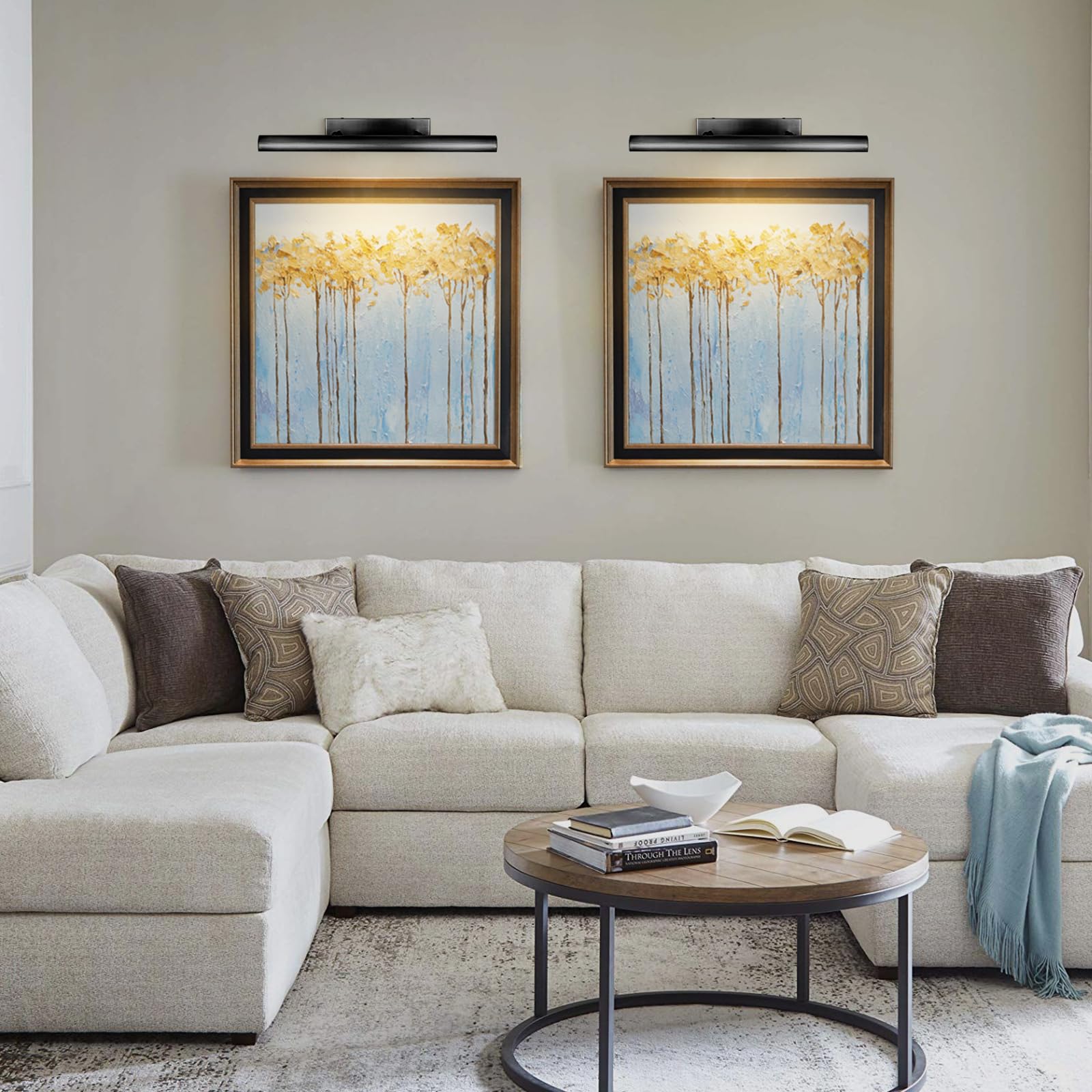 Pioutnf Black Picture Lights - 24'' Rotatable Art Light Fixture For Wall Display Over Painting