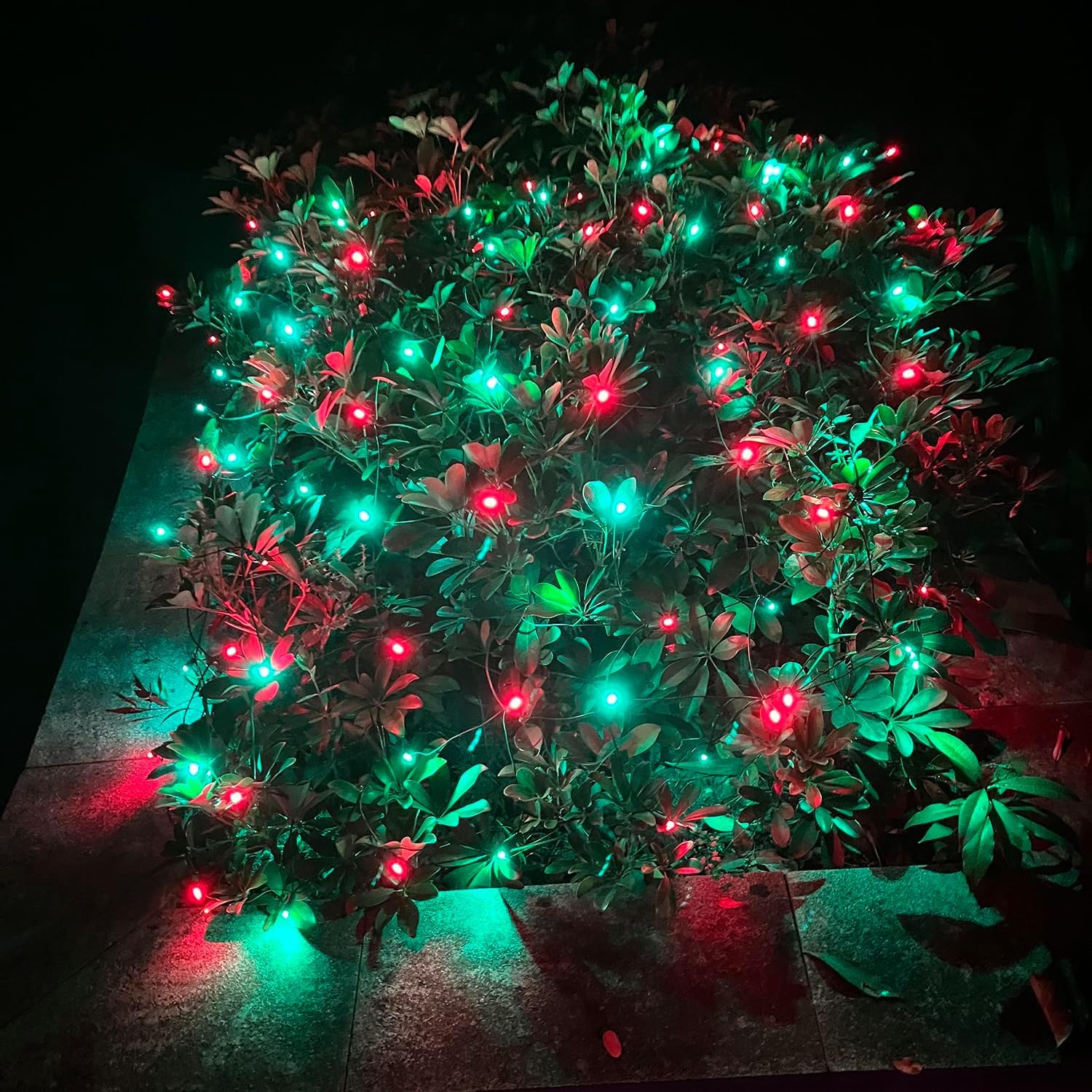 Hishiny Led Christmas Net Lights Outdoor 6Ftx6Ft 144Led Green Wire  Connectable Indoor Outdoor Bush Mesh Net Lights String For Halloween Christmas Party Shrub Yard Tree(Red & Green)