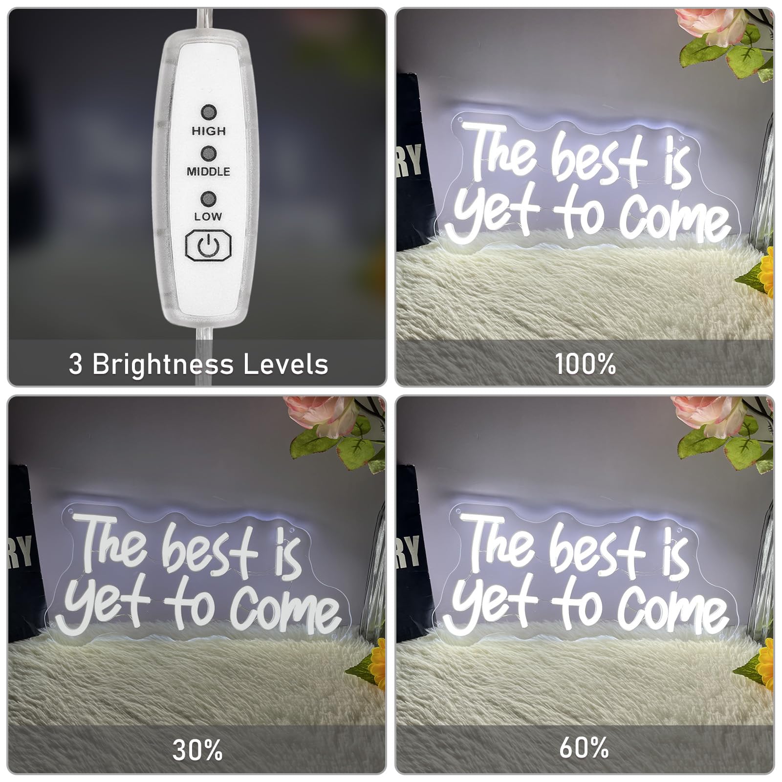 Brochao LED Neon Sign - "The Best Is Yet To Come" - USB Powered, Adjustable Brightness - Ideal for Office, Bedroom, Bar, Wedding - Color: TBIYTC