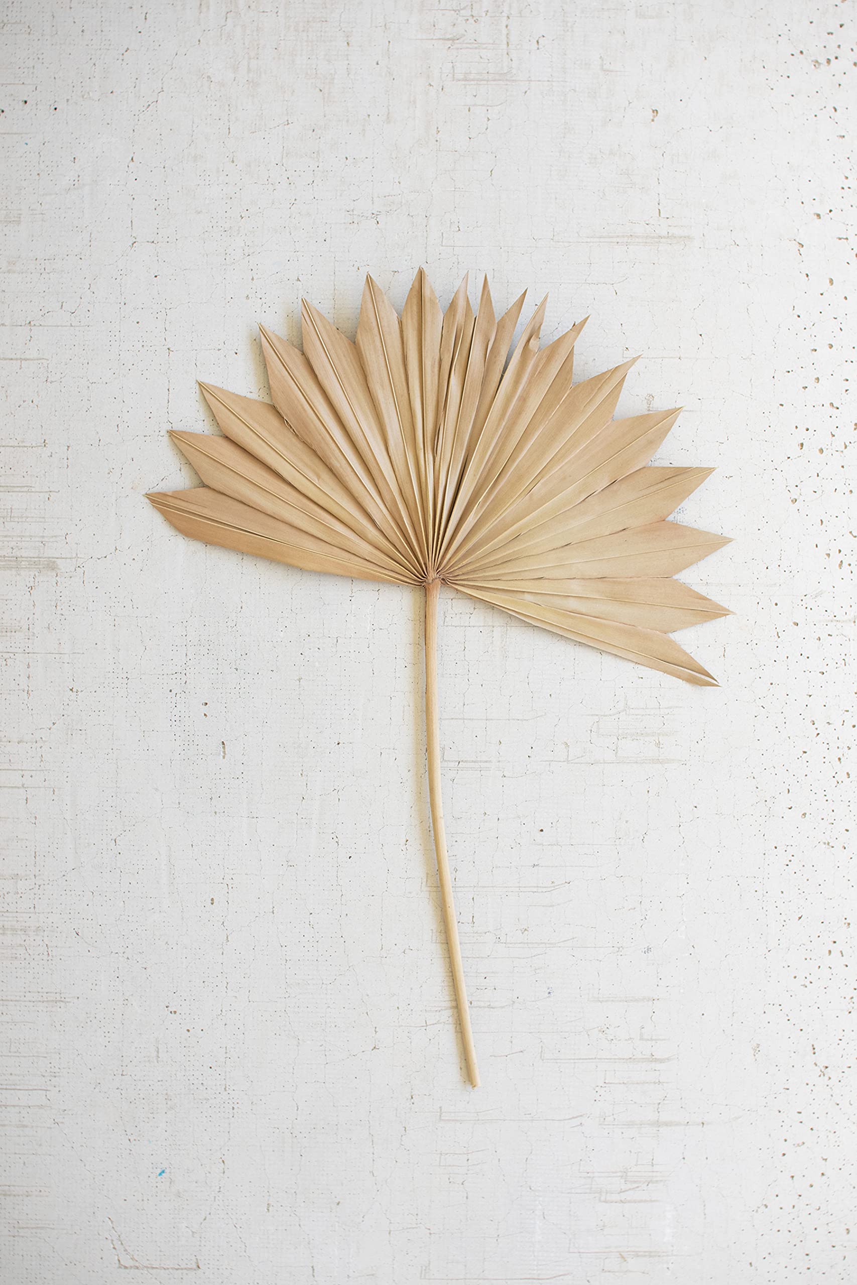 KALALOU Palm Spear, Metal, 25x16 inches, Natural, Model NSBE1016