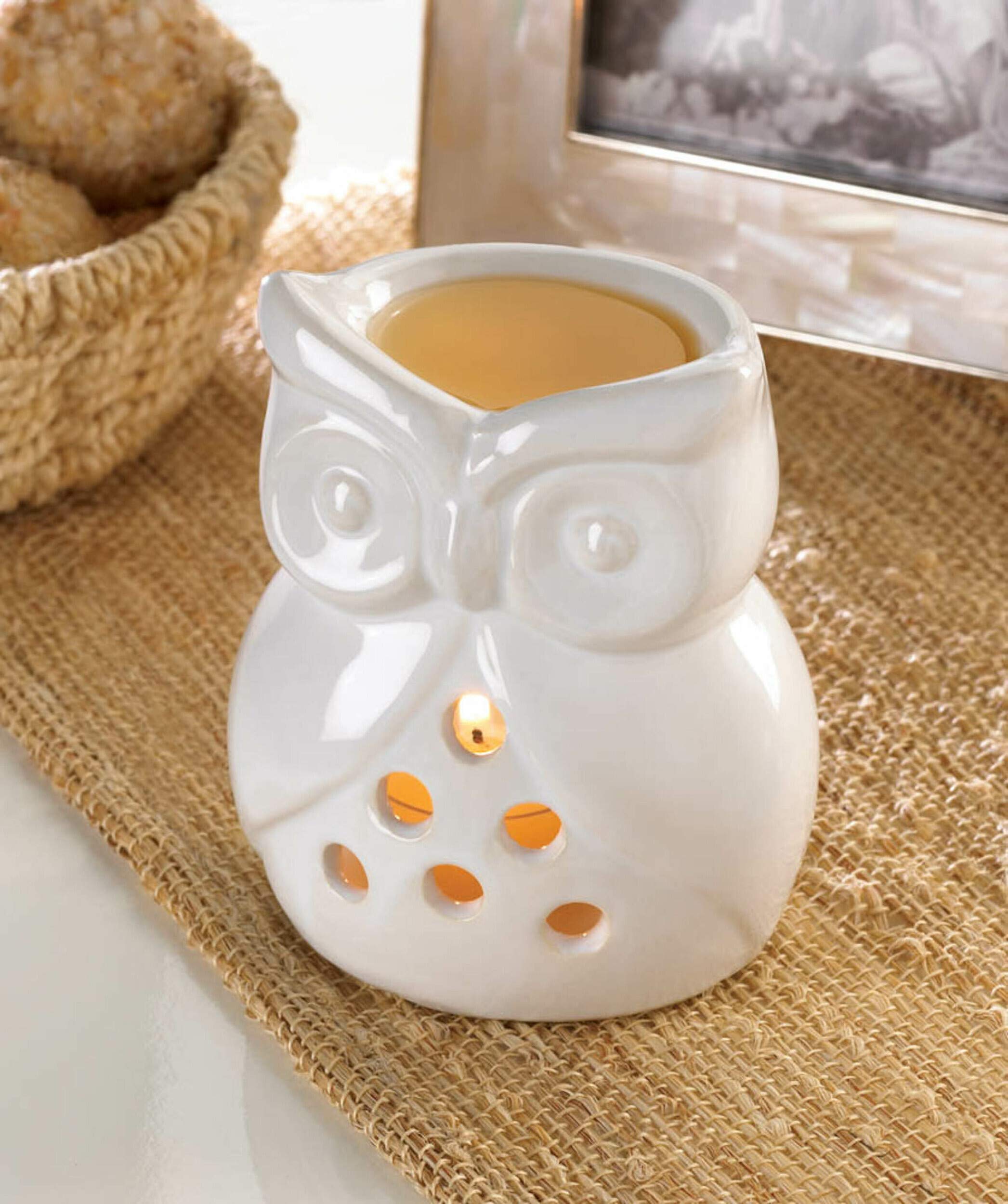 Zings & Thingz 57071310 White Owl Oil Warmer, No Size