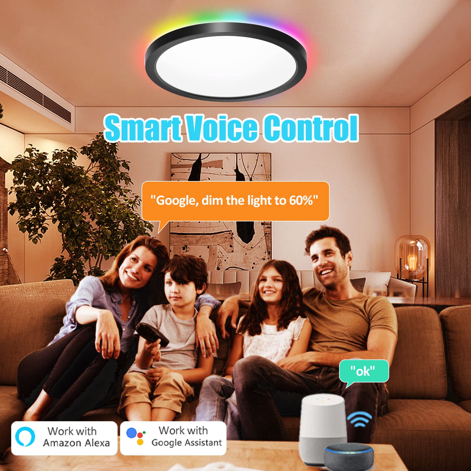 Aphyni Led Smart Ceiling Light Flush Mount, Compatible with Alexa Google Home, 12 Inch Low Profile Ceiling Light Fixture, 24W Di