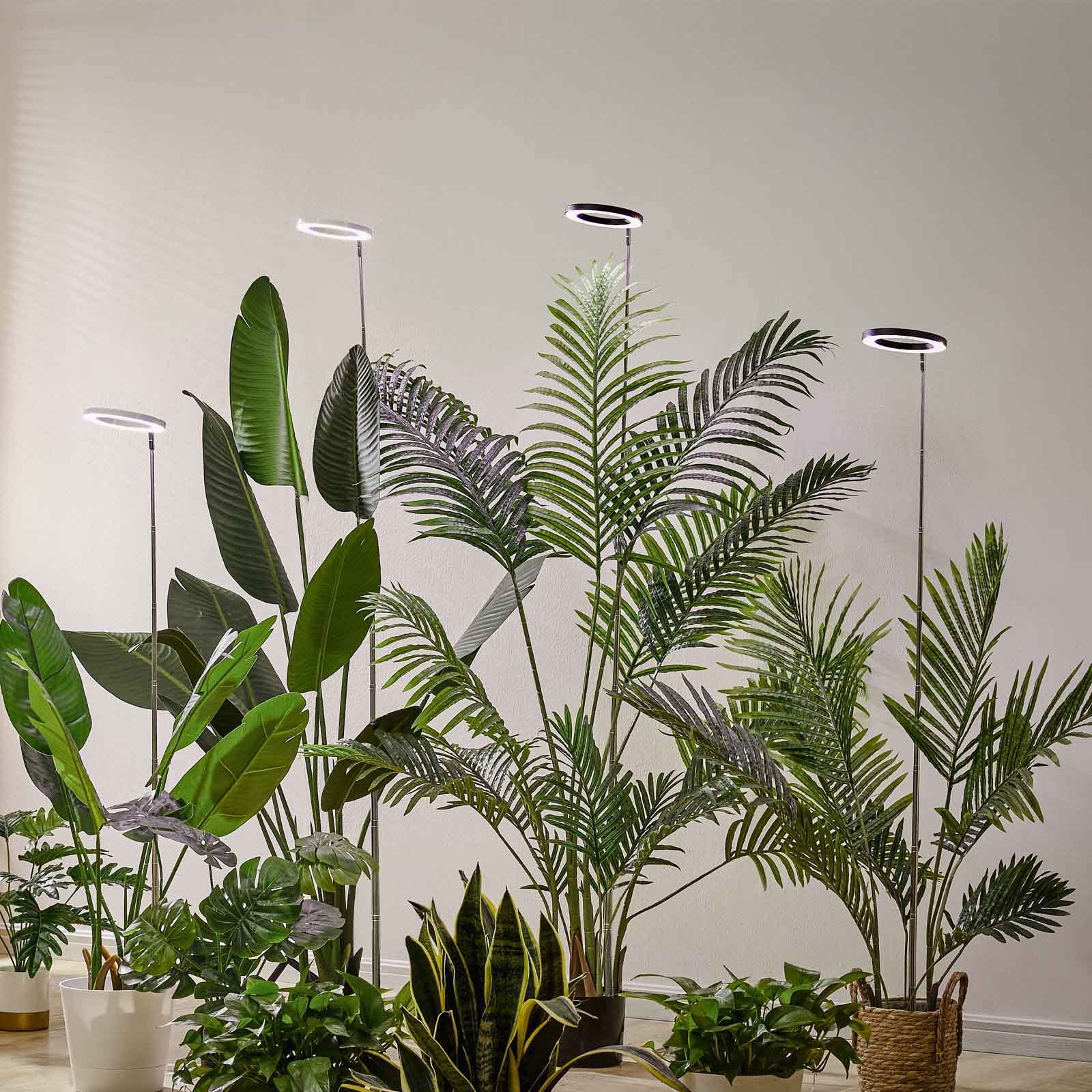 yadoker LED Grow Light Full Spectrum, Adjustable Height, Automatic Timer, 2 Pack, Matte Black, Model 16-BK-2PACK