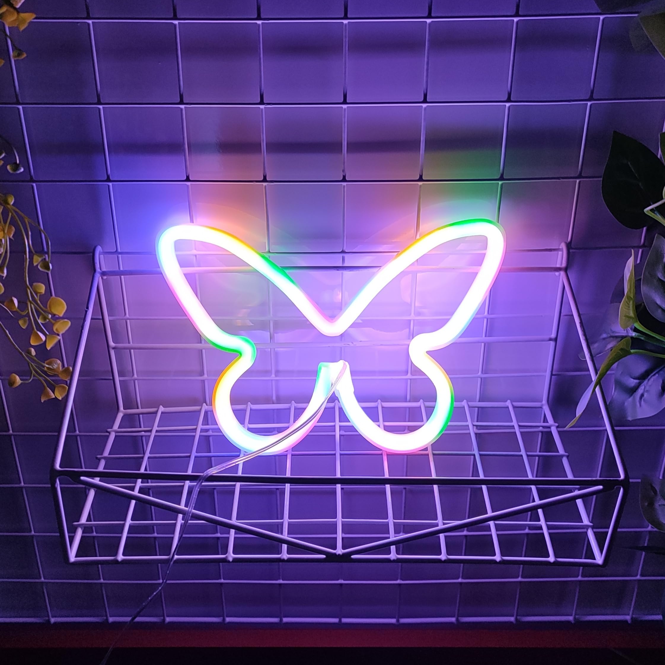 JYWJ Butterfly Neon Sign, USB & 3-AA Battery Powered, LED Table Decor, Kids Bedroom & Party Supplies, Model JY-BF-CL01, Color