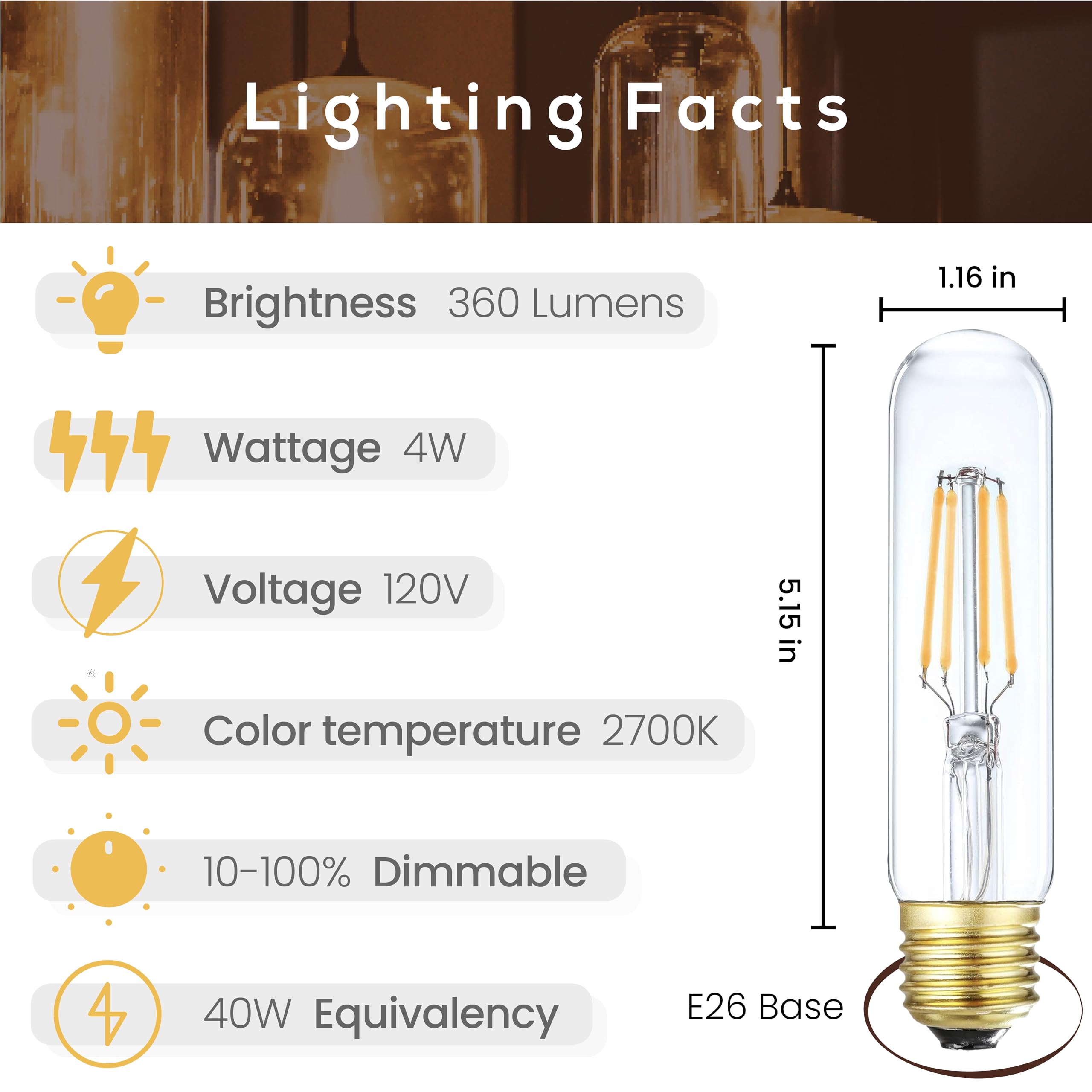 Weyolin T10 LED Edison Bulbs 6 Pack, Warm White 2700K, Dimmable 4W Vintage Glass, E26 Base, Model WEY0117