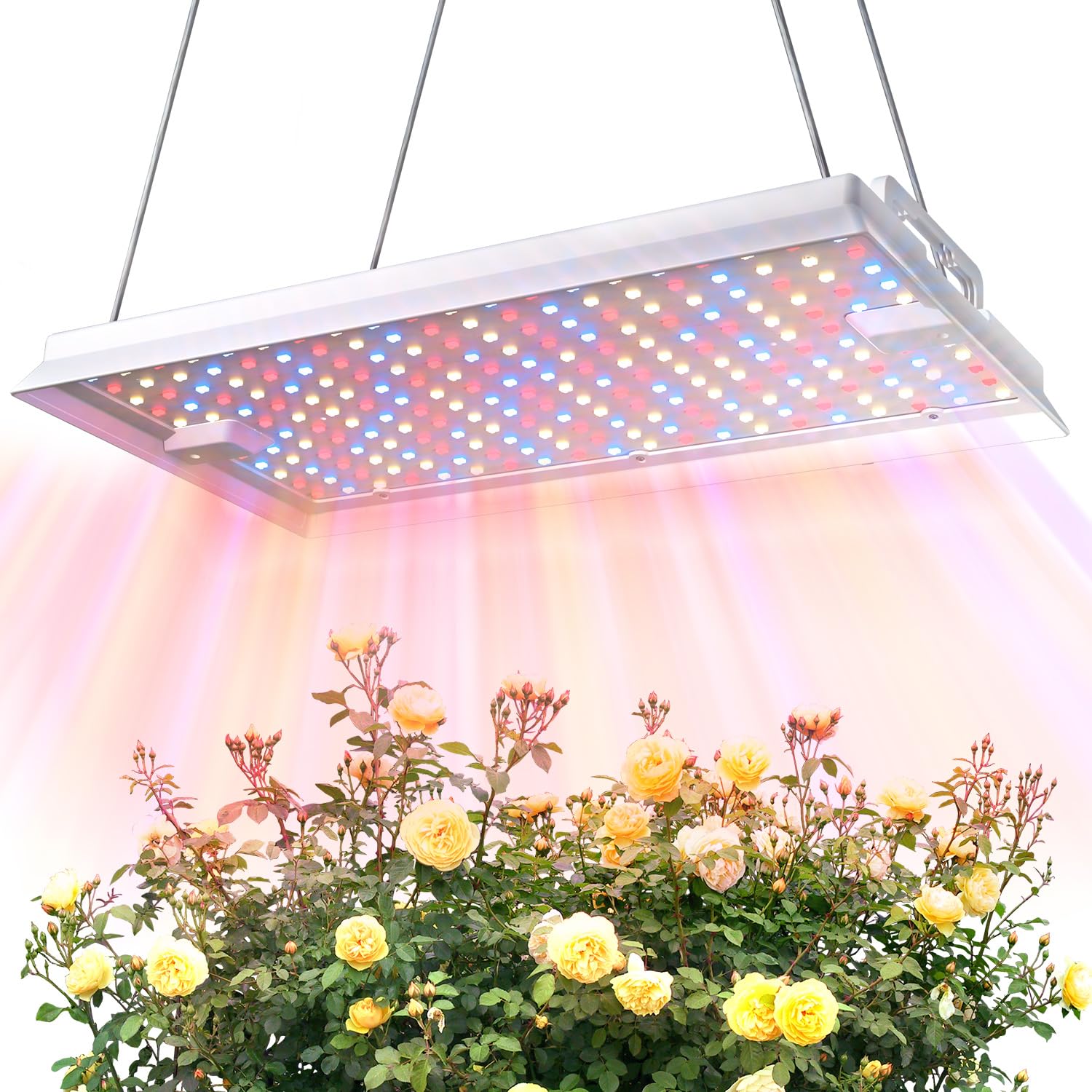 MetryGrow Plant Grow Light, 100W Full Spectrum LED, Smart APP, 2x3 Ft Coverage, Silver, Model MGL100-02