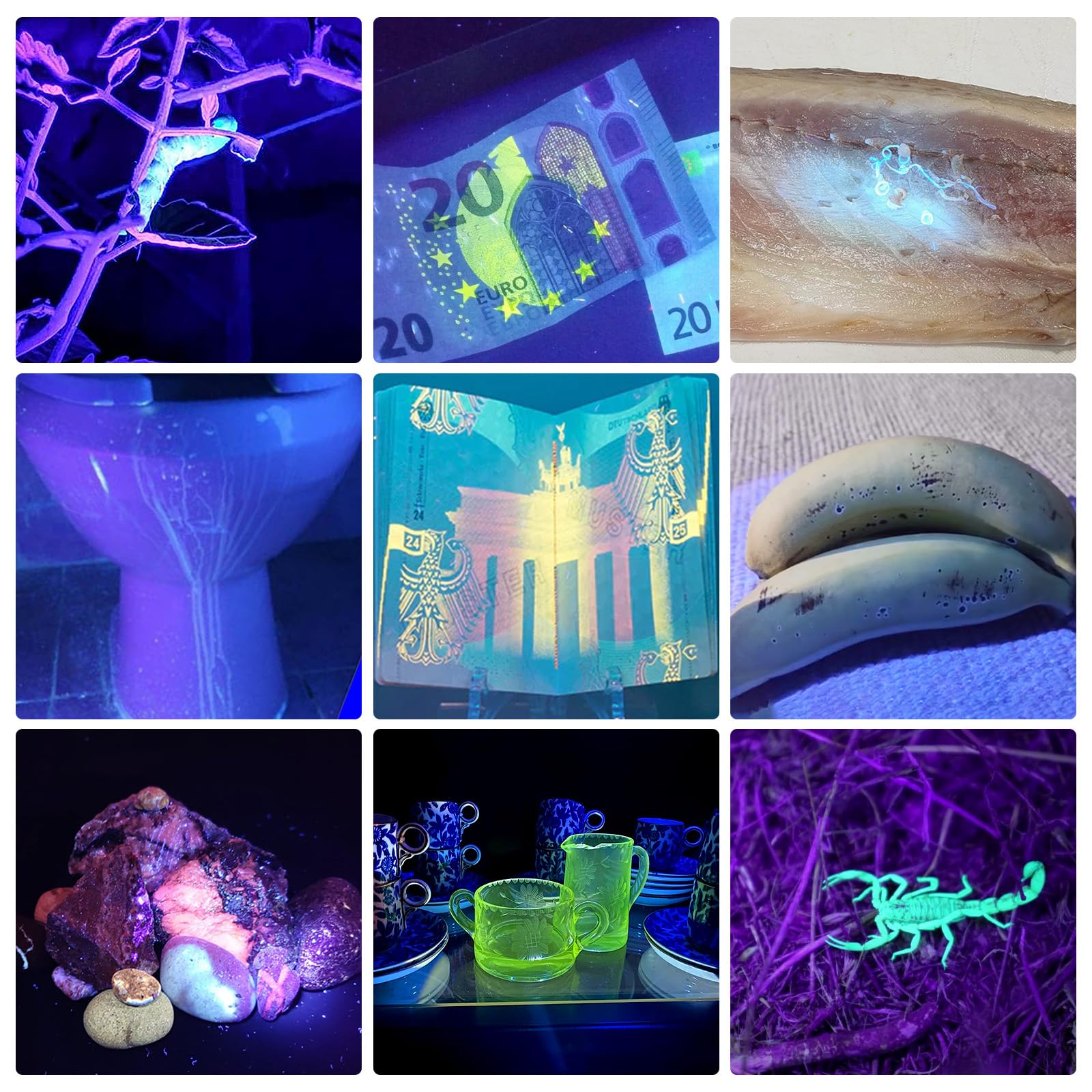 Tnatra Uv 365Nm And 395Nm Flashlight, Uv Blacklight For Uv Glue Curing,Rocks & Minerals Hunting,Pet Stain Detector&Scorpion Finder, Dry Stain, Portable&Zoomable Led Ultraviolet Flashlight