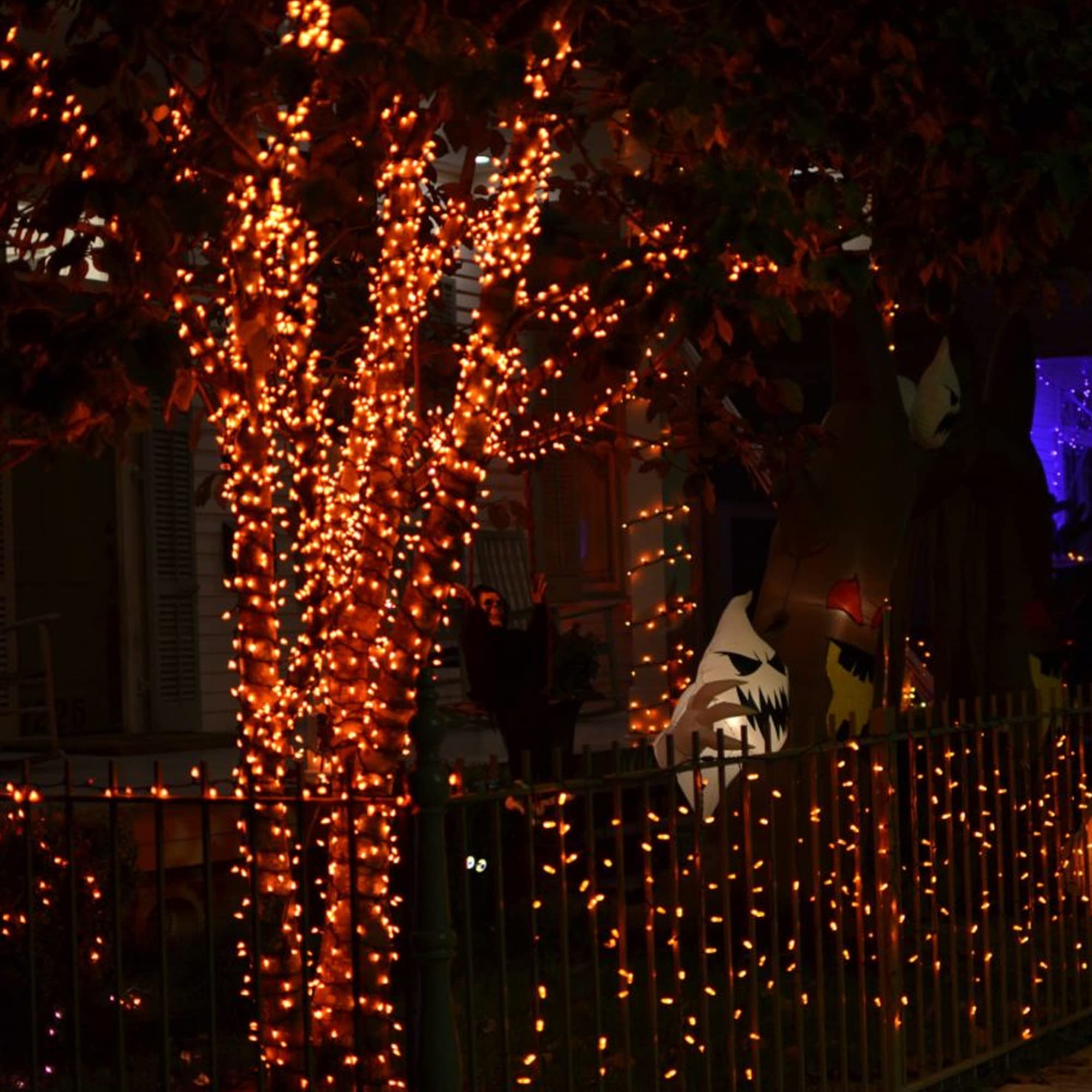 Dazzle Bright Fairy String Lights 20FT 60 LED Copper Wire Battery Operated Waterproof Orange - Halloween Indoor Outdoor Decor