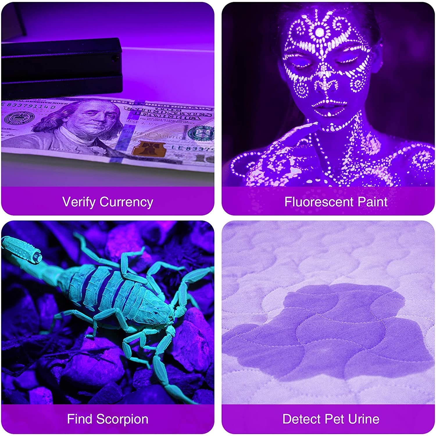 COSOOS 2 Pack Black Light Flashlight, 12LED 395nm UV Mini Torch, Silver Aluminum, Dogs Urine Detector, Bed Bugs & Scorpions.