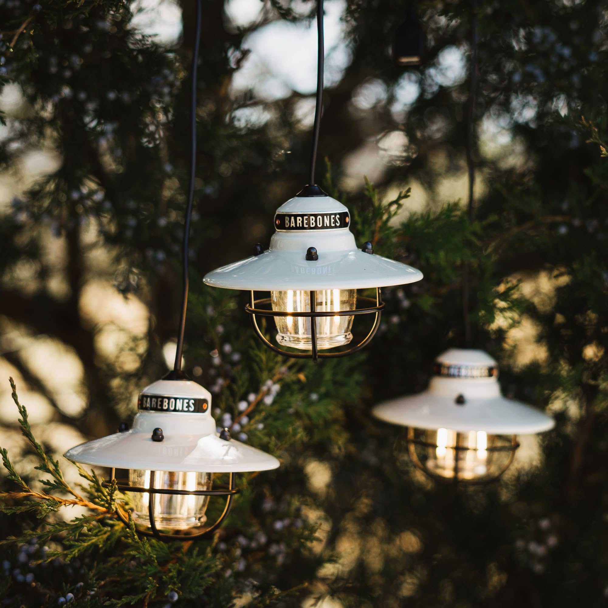 Barebones Edison Pendant String Lights - Vintage White, 3 Edison-Style Led Bulbs With 10-Foot Cord, Energy-Efficient Outdoor Lan