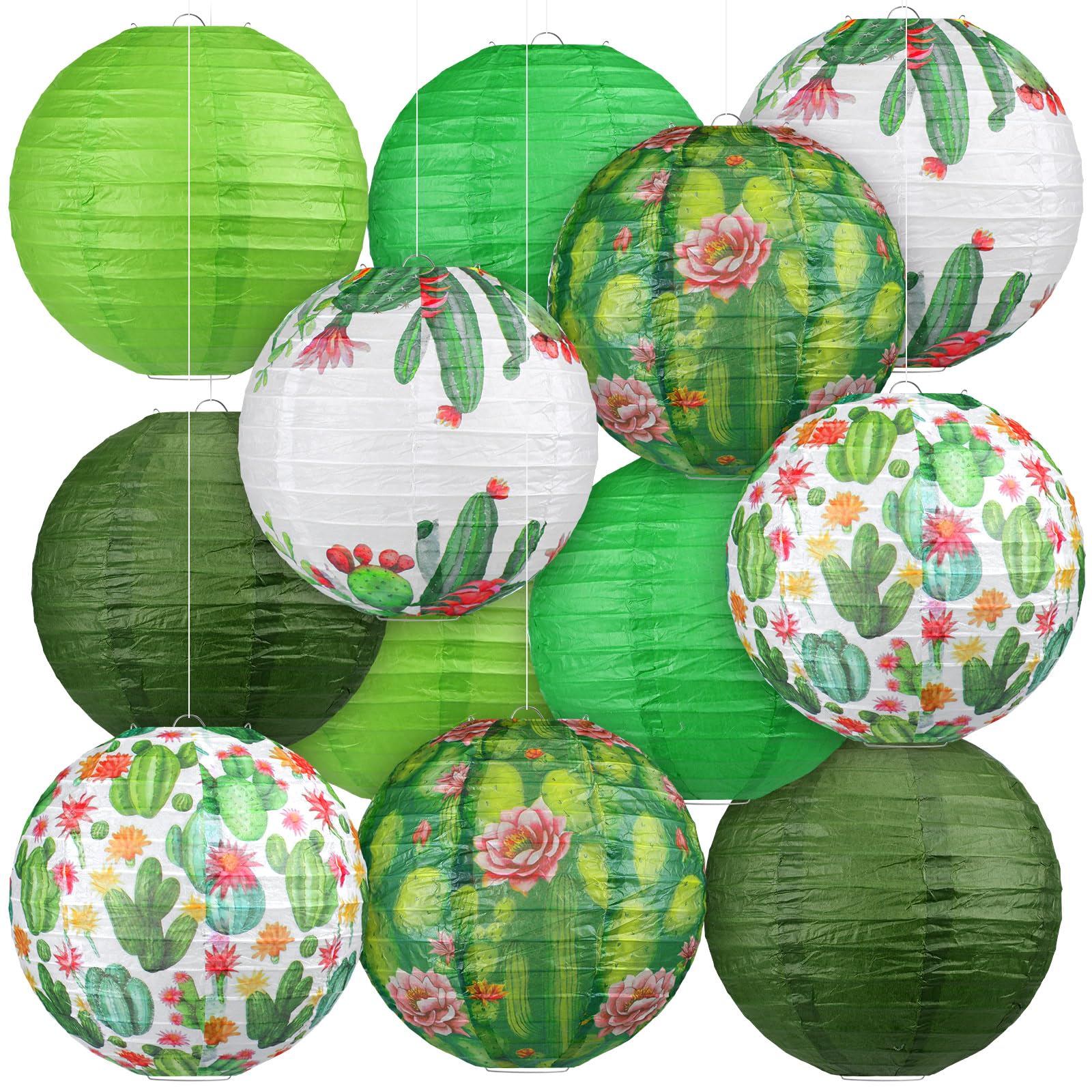 Panelee 12 Pcs Cactus Party Decorations Succulent Plant Theme Hanging Paper Lanterns Decorative for Cactus Taco Bout a Theme Bir
