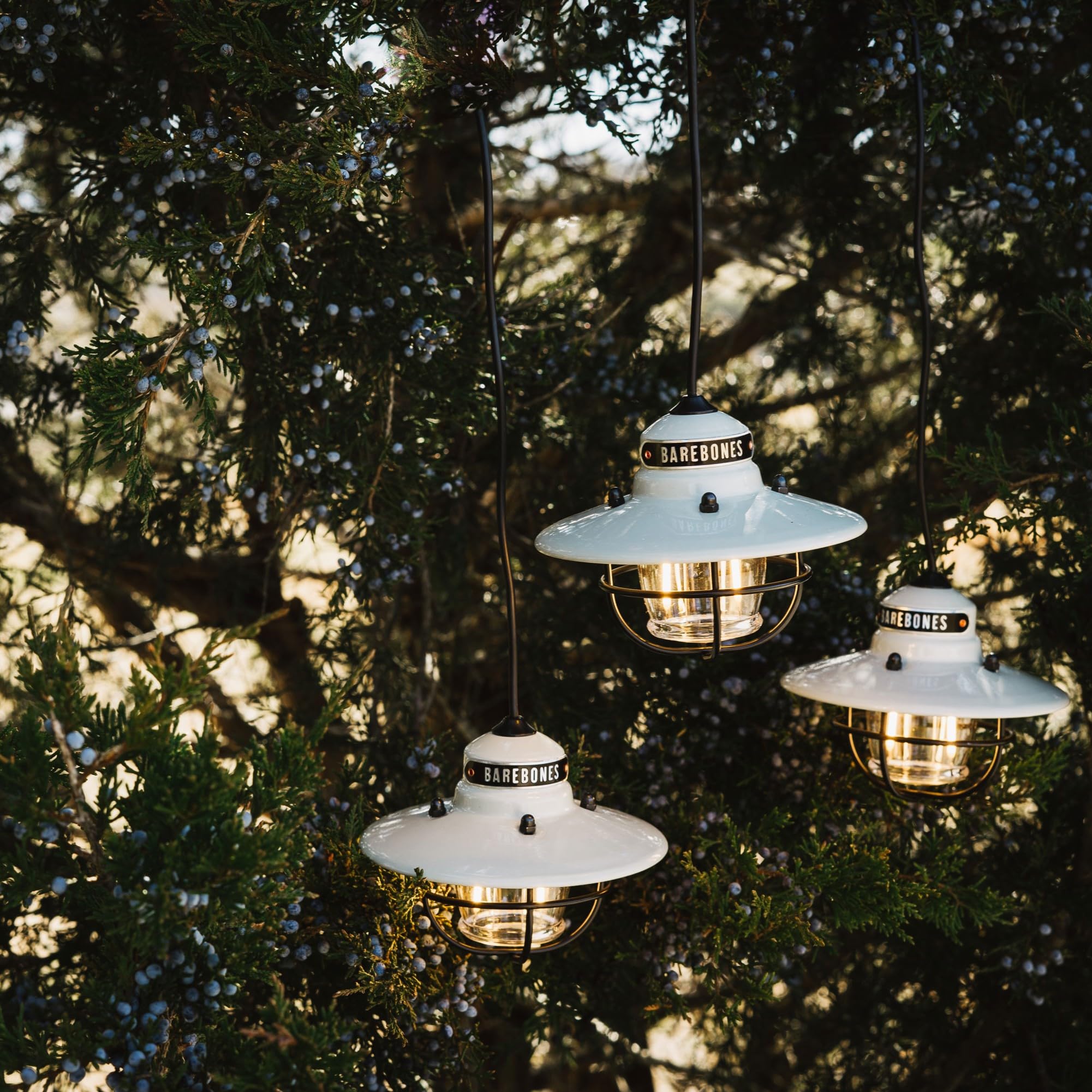 Barebones Edison Pendant String Lights - Vintage White, 3 Edison-Style Led Bulbs With 10-Foot Cord, Energy-Efficient Outdoor Lan