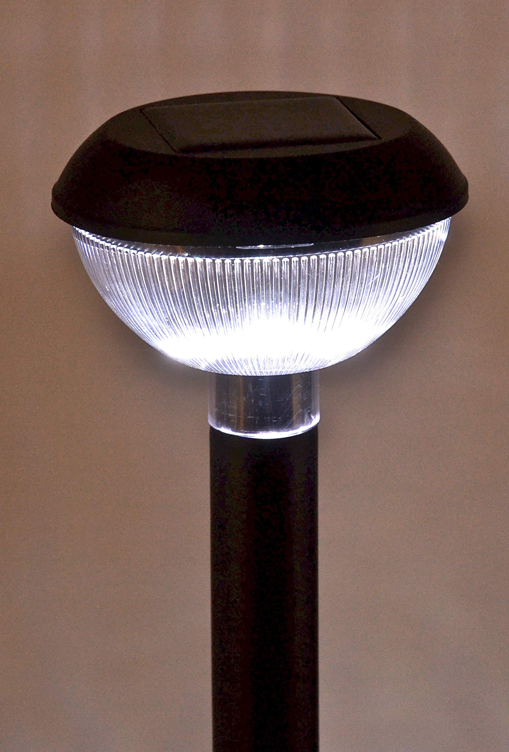 Homebrite Set Of 12 Solar Power Blanca Path Lights