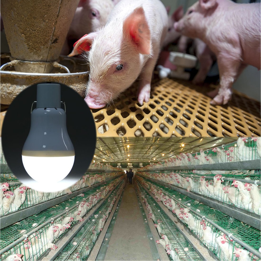 ABZXT Solar Powered LED Bulb Lights, Portable, 350LM, Pack of 2, Plastic