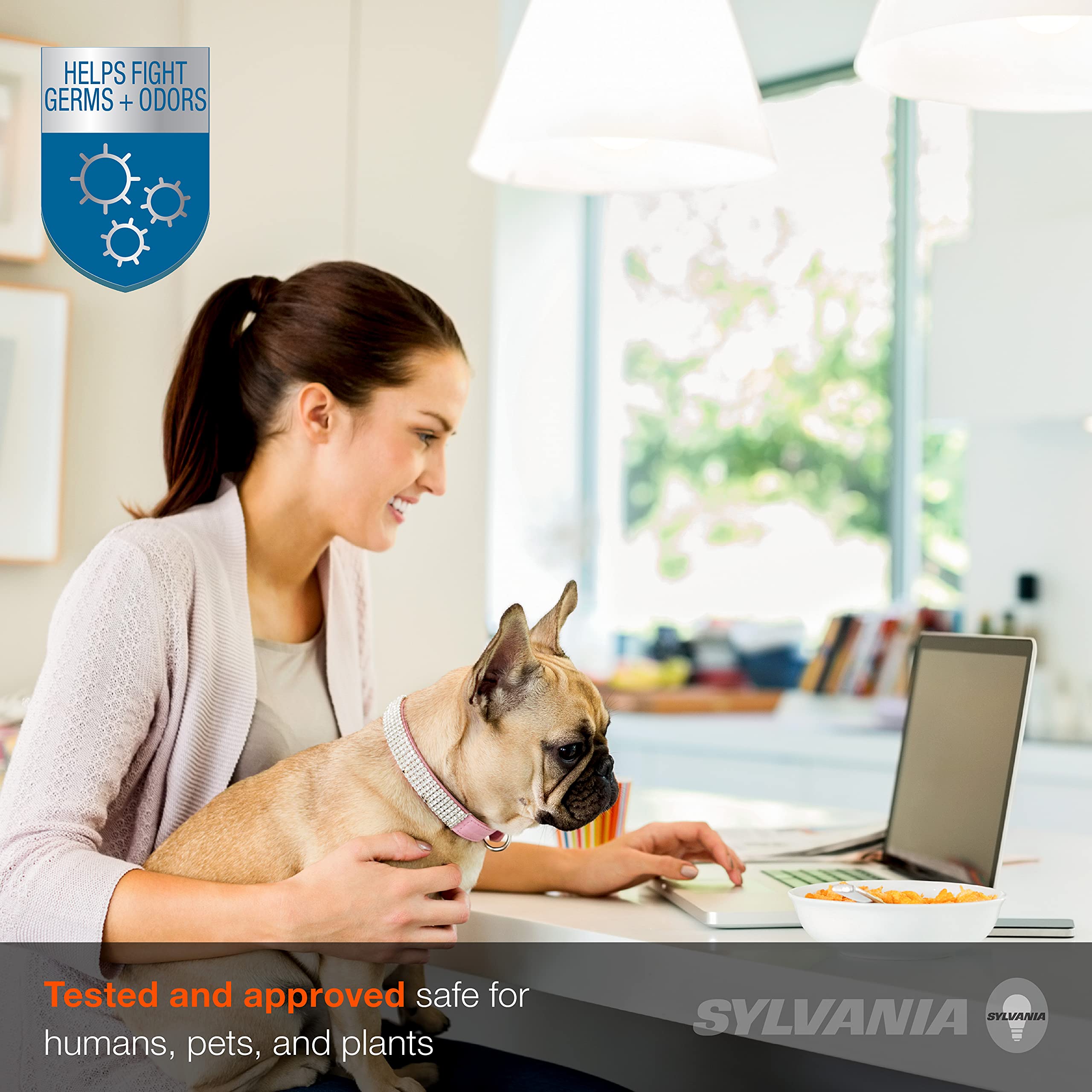 Sylvania Lightshield Br30 Germicidal Led Light Bulb, 9W=65W, 10 Yr, Dimmable, 650 Lm, 2700K, Soft White - 12 Pack (41313)