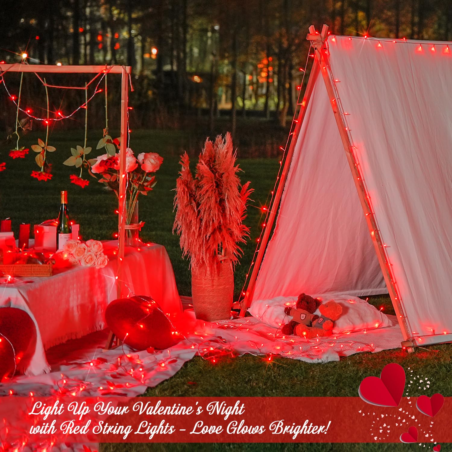JMEXSUSS 600 LED String Lights, Red Copper Wire, 8 Modes, Waterproof, Model EXS-S-0600, for Valentines Day Decorations