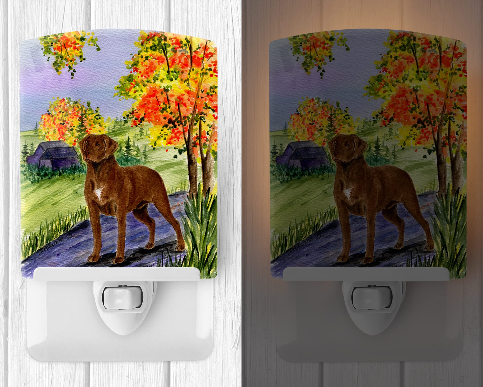 Caroline'S Treasures Ss8427Cnl Chesapeake Bay Retriever Ceramic Night Light Compact, Ul-Certified, Ideal For Bedroom, Bathroom, Nursery, Hallway, Kitchen, 6X4X3, Multicolor