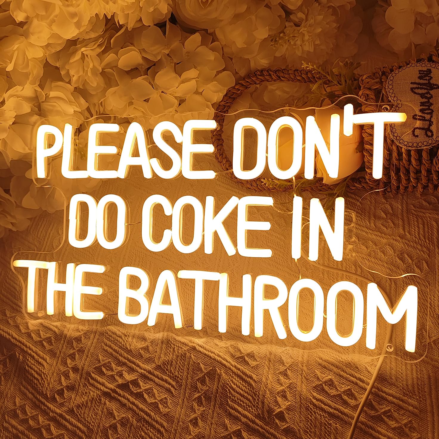 Sylhome Please DonT Do Coke In The Bathroom Game Room Bedroom Bar Store Wall Decor Sign Birthday Christmas Party Backdrop Gifts Usb 16.9X9.2 Warm