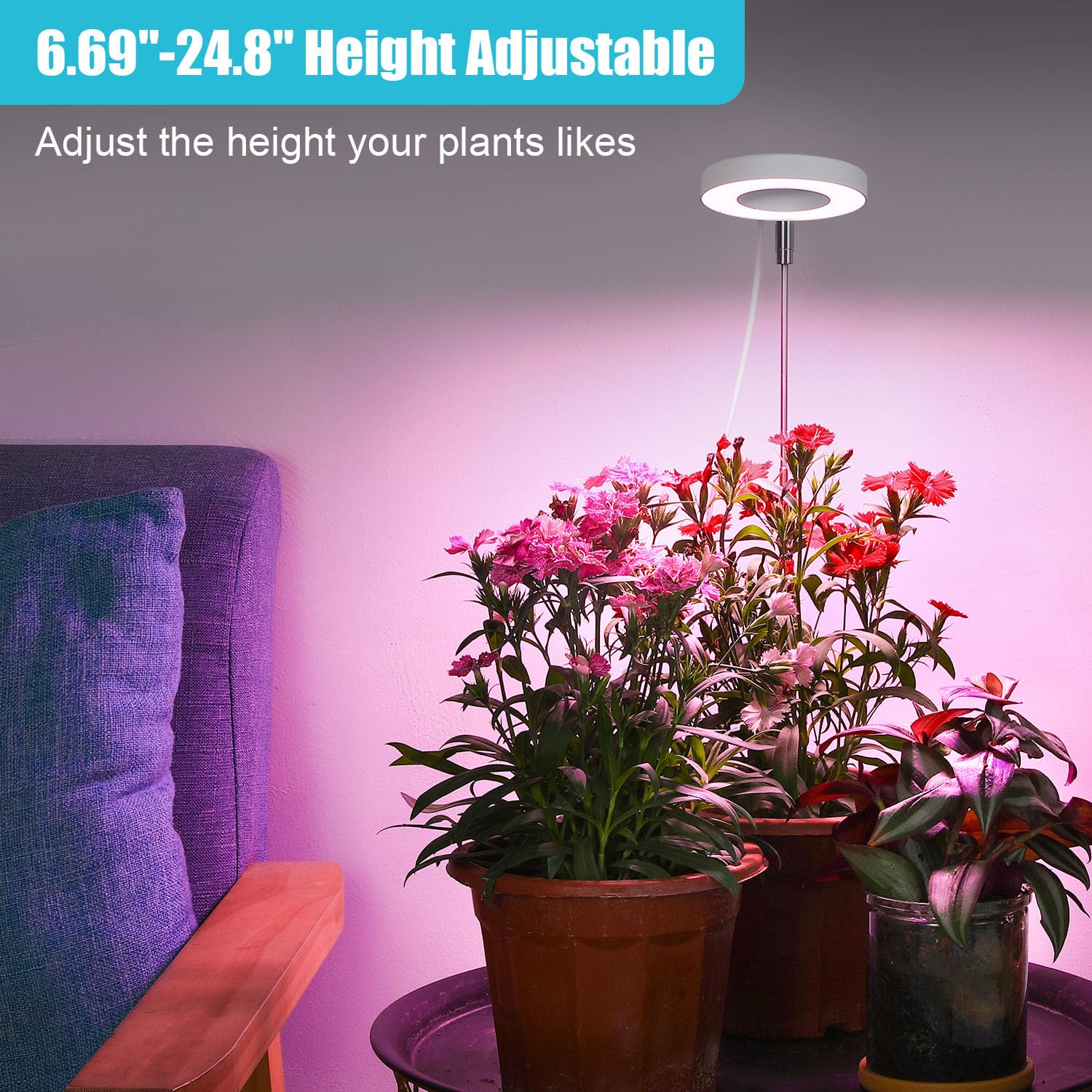 Hywyimlait Halo Ring Grow Lights for Indoor Plants, Full Spectrum LED, 2 Pack with Adjustable Height, Timer & 10 Dimmable Levels, White
