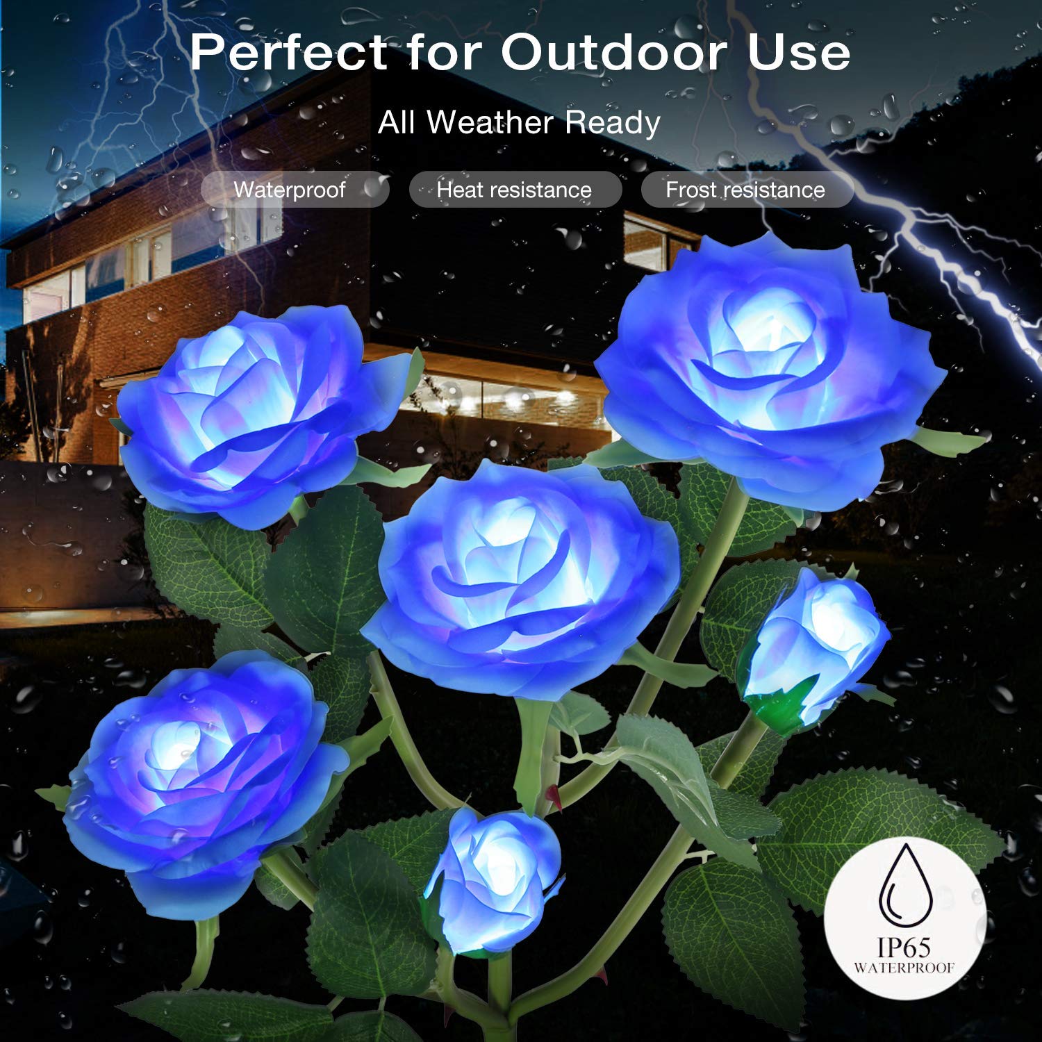 TYNLED Outdoor Solar Garden Stake Lights, 6 Rose Flowers, Waterproof, 1 Pack, Blue