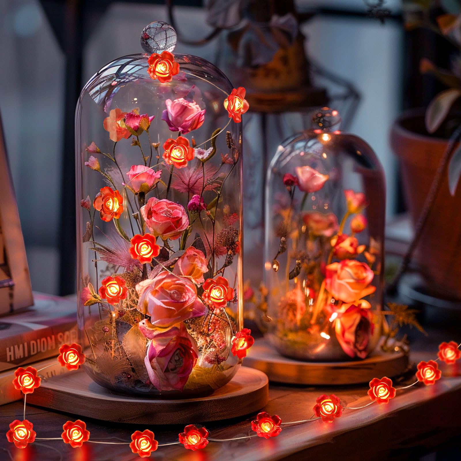 Coquimbo Heart String Lights, 10FT 30 LED Battery Operated Fairy Lights, Copper Indoor Decor for Valentines Day, Weddings, Parties