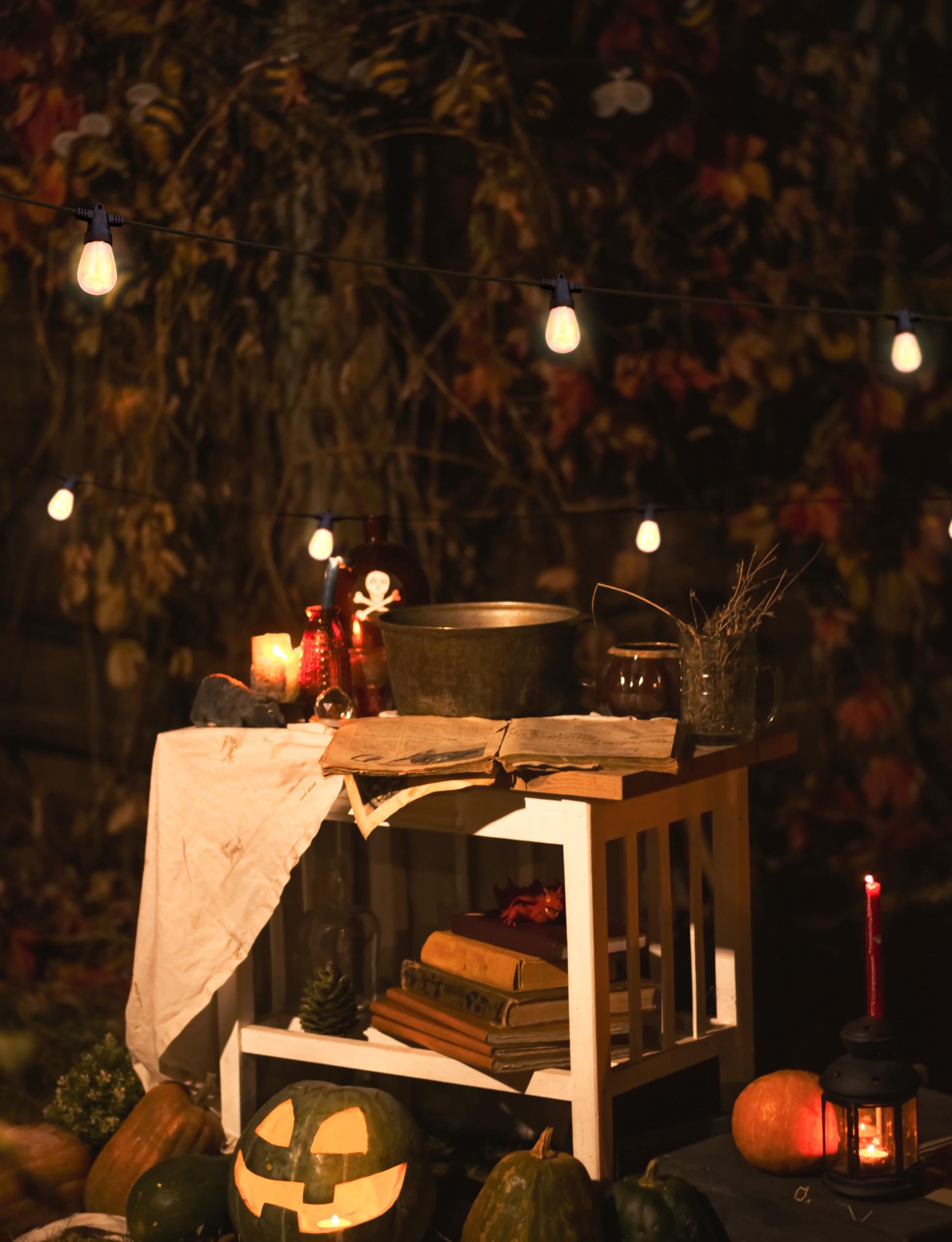 Brightech Ambience Pro Solar Powered Led Outdoor String Lights - 27 Ft Commercial Waterproof Patio Lights With Flaming, Flickeri