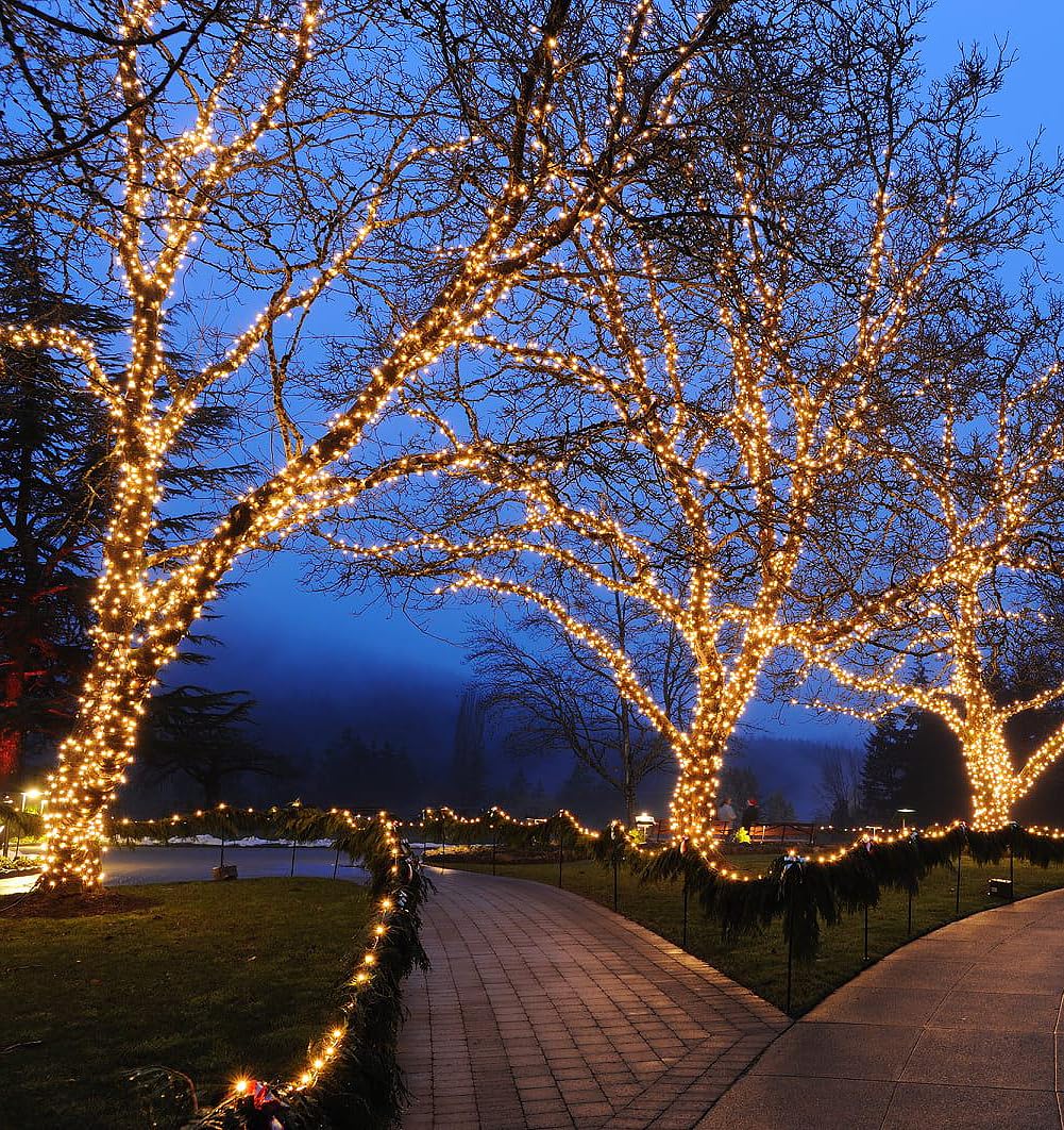 Novelty Lights 50 Light Led Mini Christmas String Lights, 25Ft, Warm White, Brown Wire, Model Mrd-25B-2, Outdoor Patio Lighting