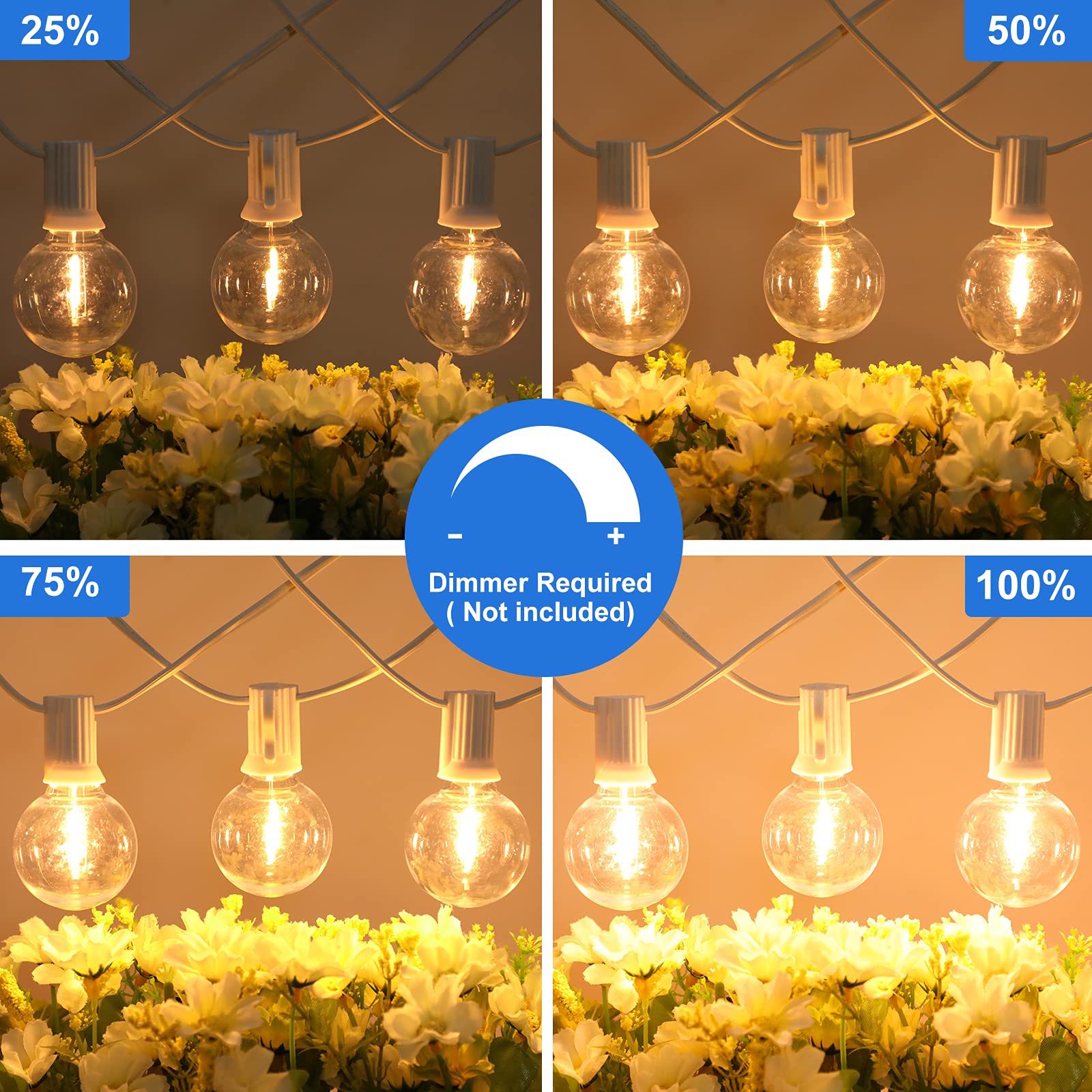 Bosceos G40 LED Globe String Lights 50FT, Dimmable, Shatterproof, Waterproof, White Wire, 25+2 Bulbs, Model GYPC-O25LAU