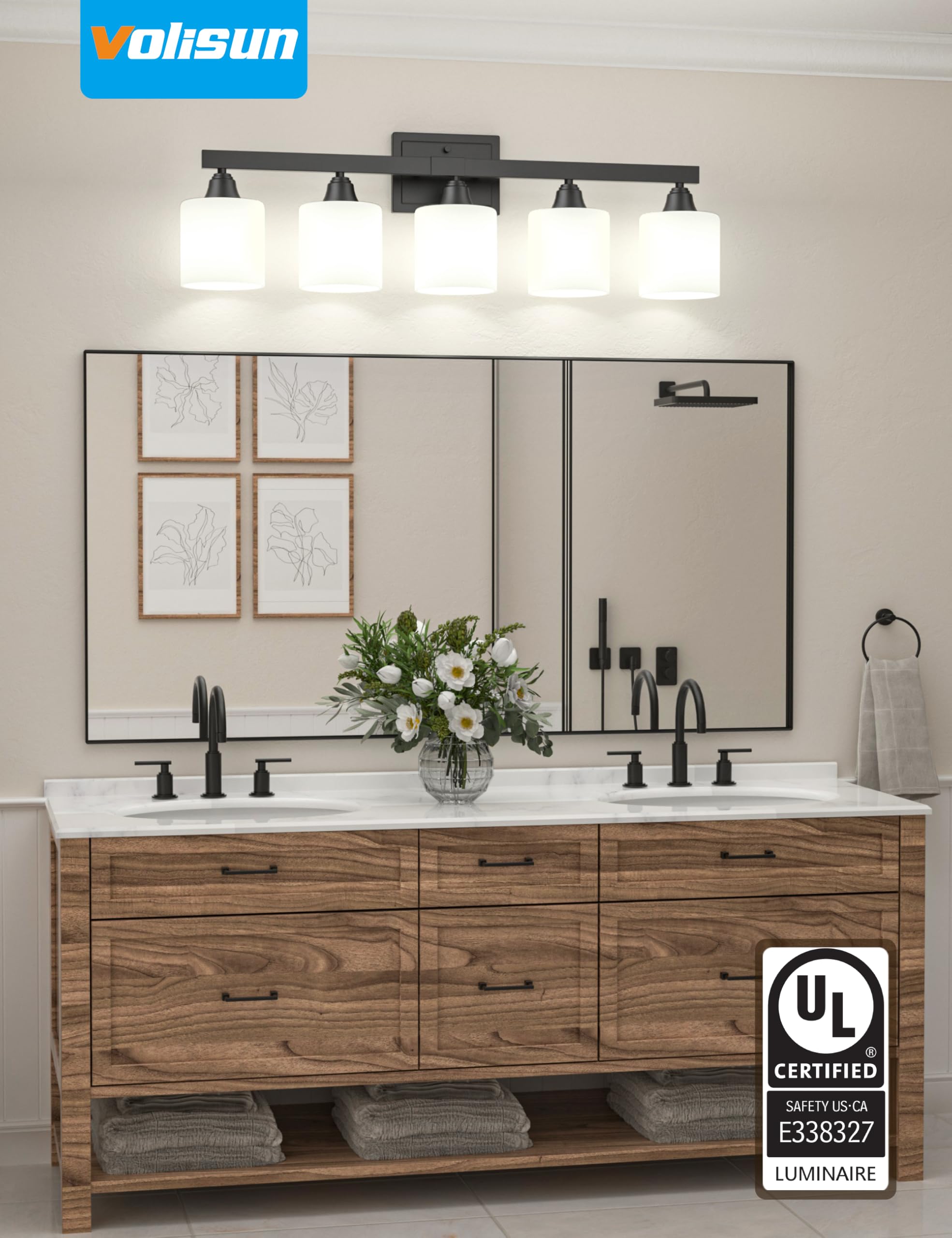 VOLISUN 5-Light Bathroom Vanity Light Fixture, Matte Black Metal with Frosted Glass Shades, Model SW016W