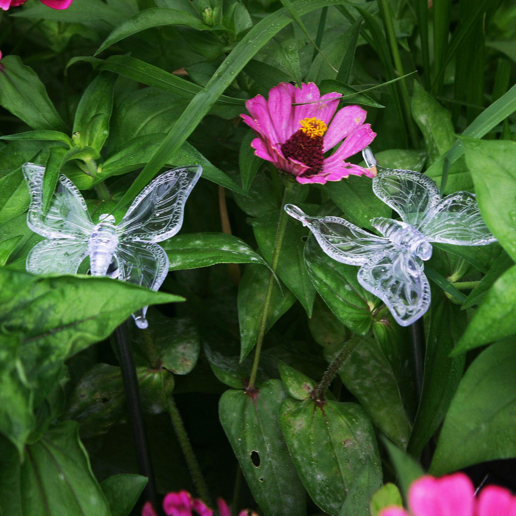 Ezigarden Solar Garden Stake Waterproof Outdoor Light With Vivid Color Charging Figurine -Butterfly Led Garden Landscape Lawn La