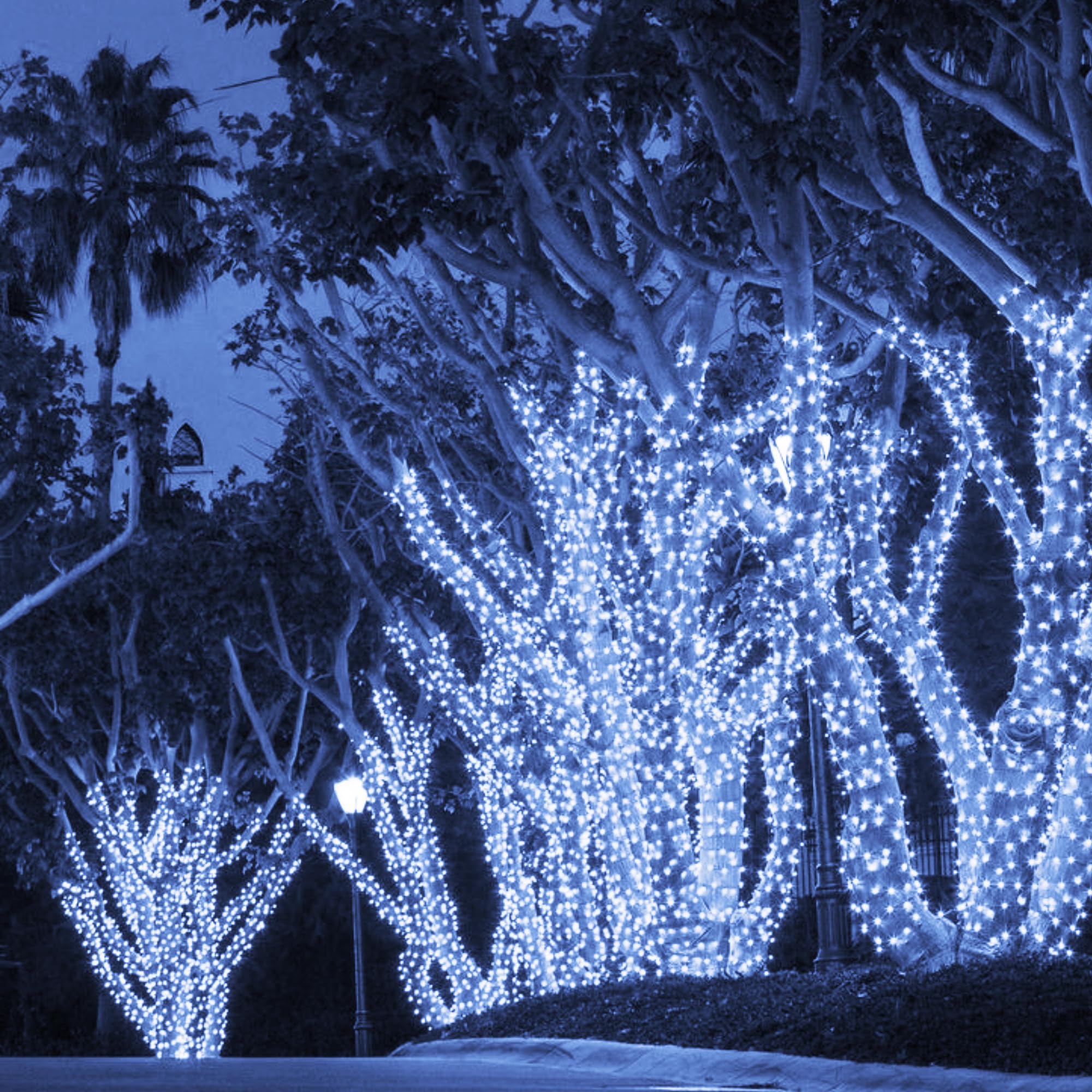 TW SHINE Christmas String Lights, 1000 LED, 328FT, 8 Modes, Remote, Waterproof, White, Model HB-500CO