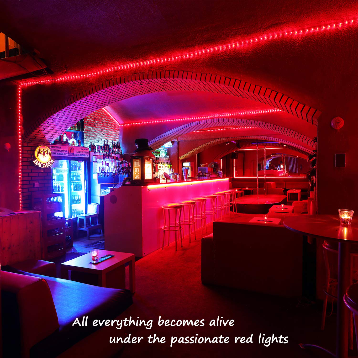 Areful Red LED Rope Lights, 16ft Waterproof Flexible Strip Lighting, 3528 LEDs, High Brightness, Model LED-MLF-2W-16FT-EX-R-1.